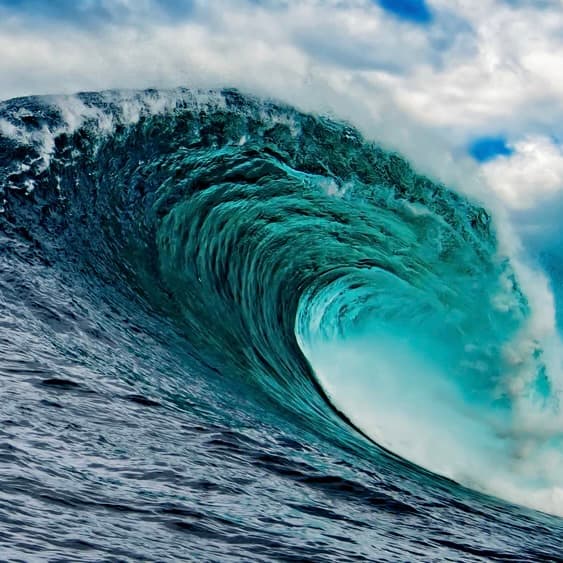 Jishu - Chapter 16 - Rinzairoku - Chobo-Ji's Zen Podcast cover