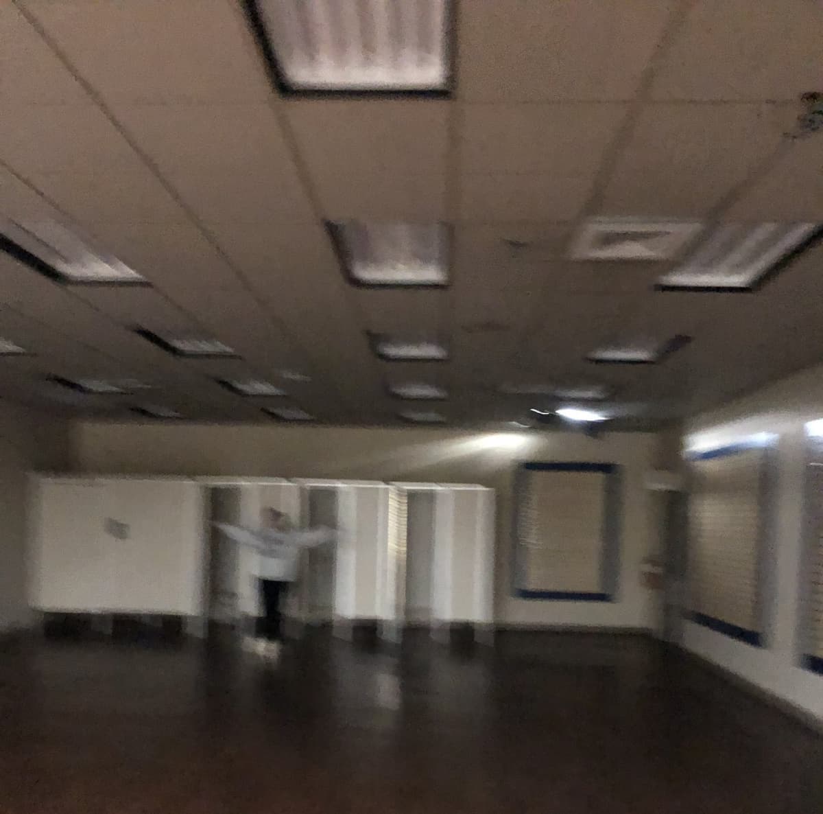 EP 1309 - The Turtle, The Wraith, And The Rabbit - Dead Rabbit Radio The Daily Paranormal Podcast cover