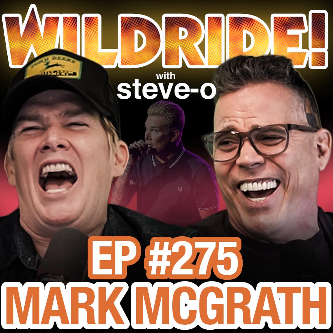 How Mark McGrath Turned Sugar Ray Into A Massive Success - Wild Ride! with Steve-O cover