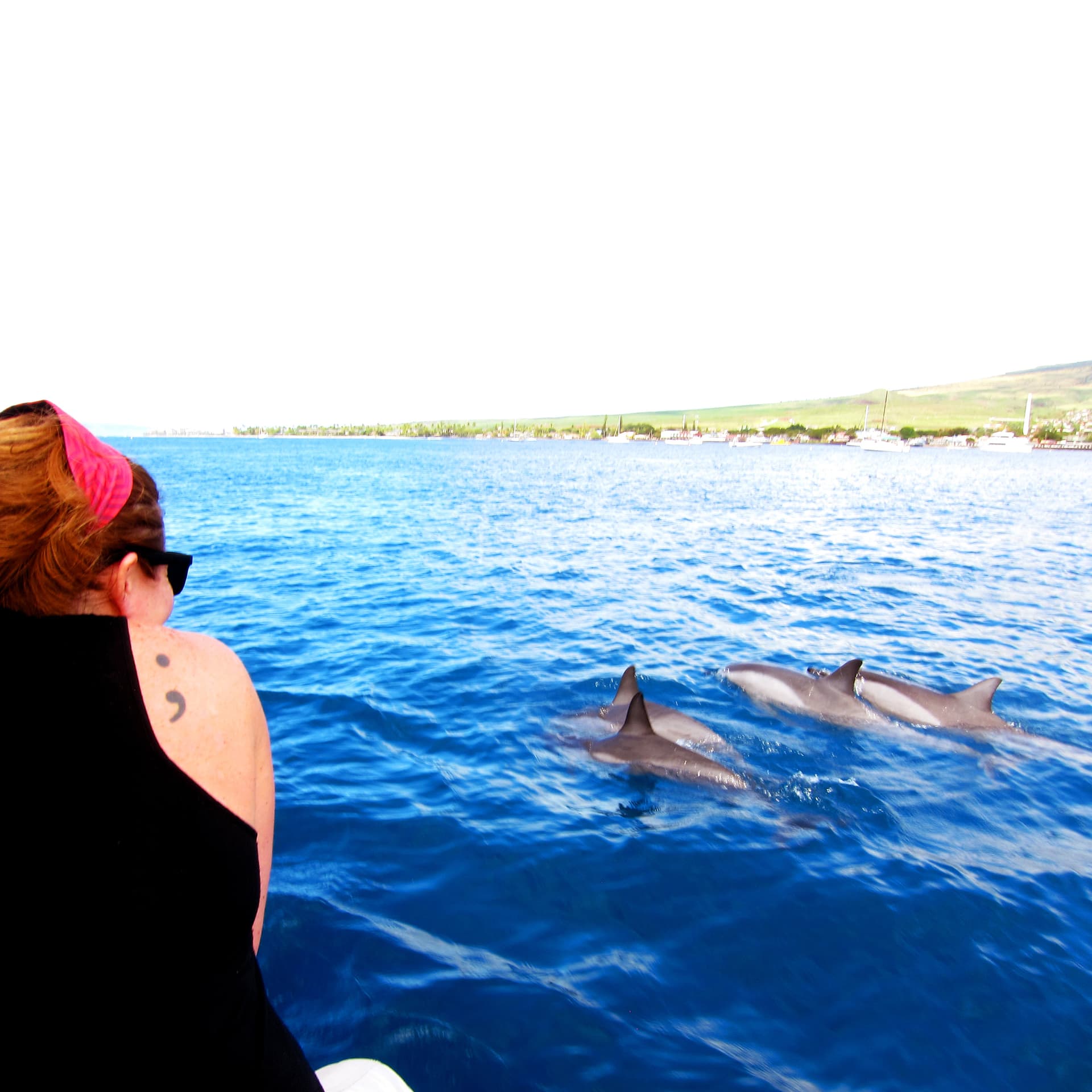 #4388 Whale Tales - TBTL: Too Beautiful To Live cover