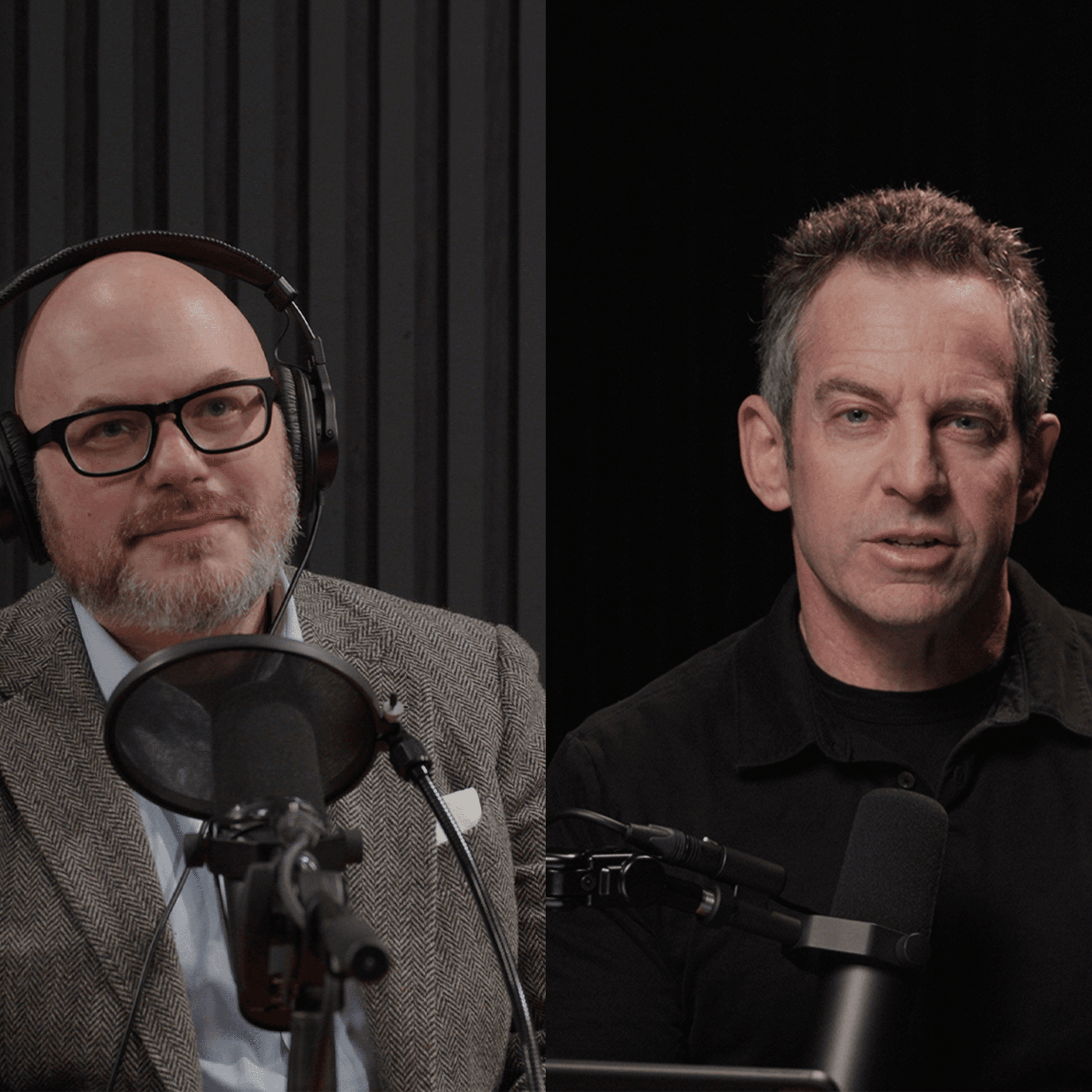 #396 — The Way Forward - Making Sense with Sam Harris cover