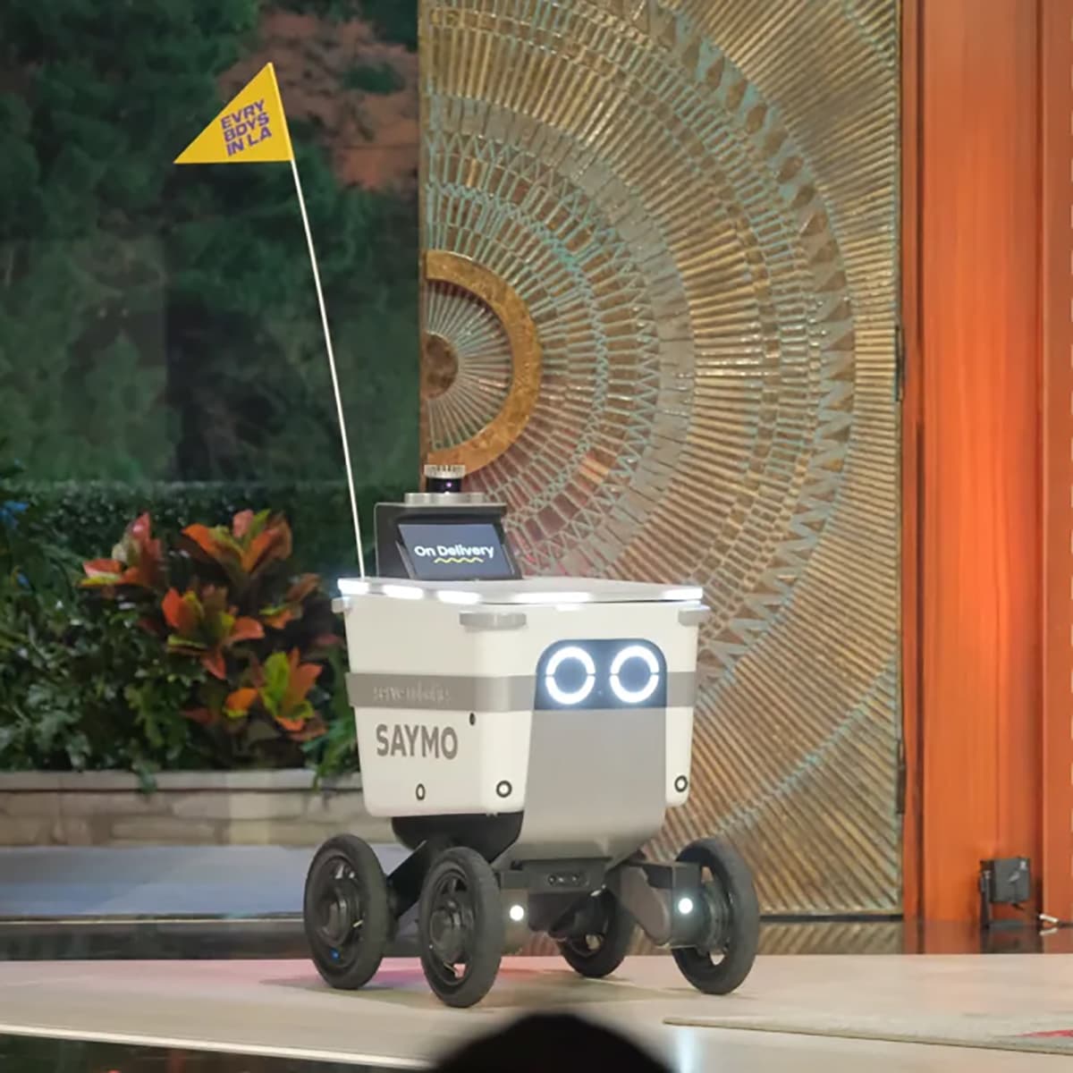 #4455 Scott Pelley Vs. The World - TBTL: Too Beautiful To Live cover