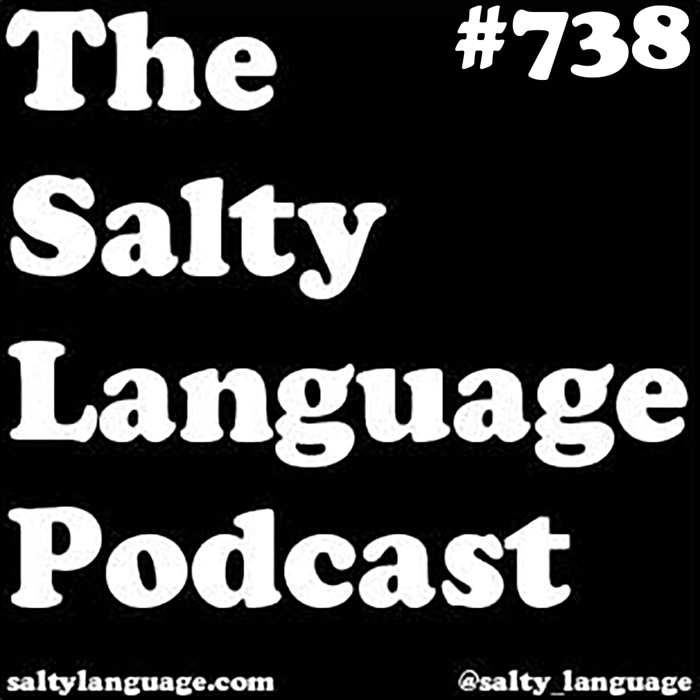 Salty Language 738 - Koozie Full of Disappointment - Salty Language cover