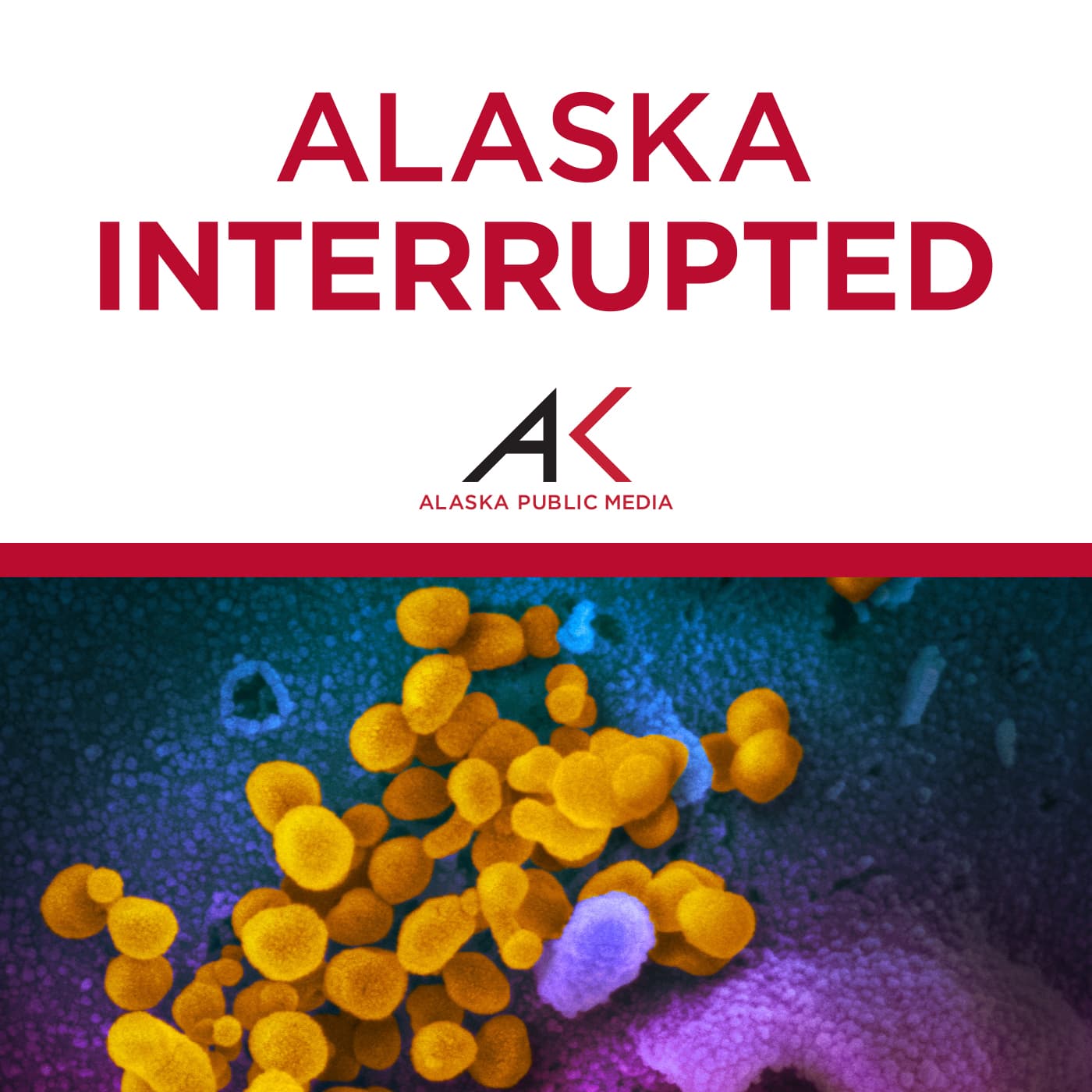 Alaska Interrupted cover