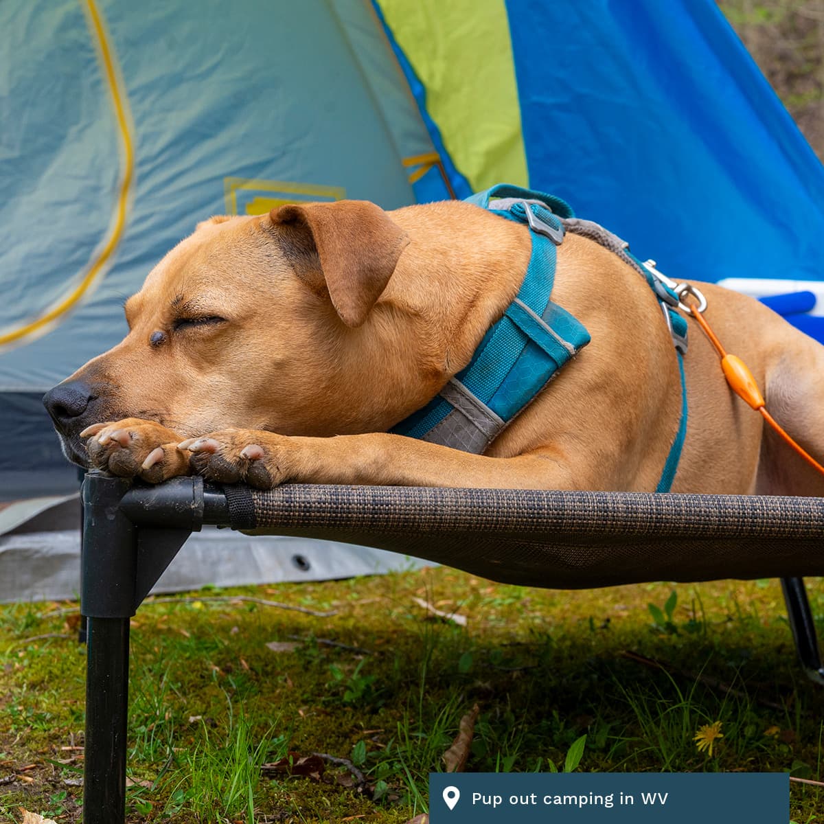 daily304 – Episode 04.29.2026 - daily304's podcast cover