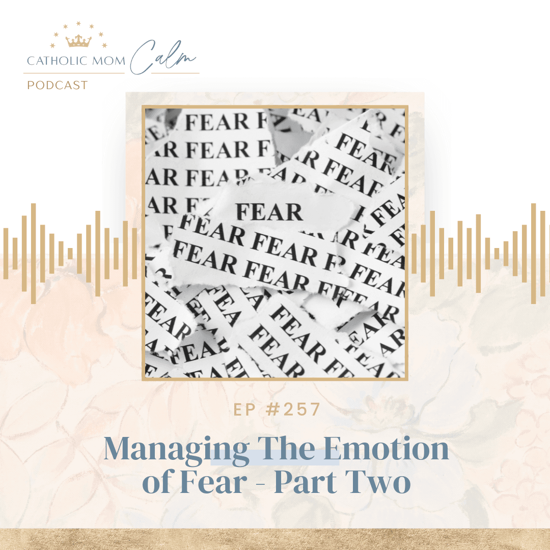 Managing the Emotion of Fear - Part Two - Catholic Mom Calm cover