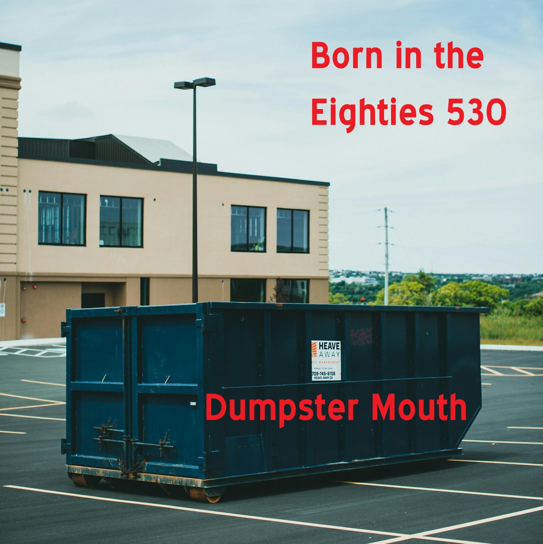 Born in the Eighties 530: Dumpster Mouth - Born in the Eighties cover