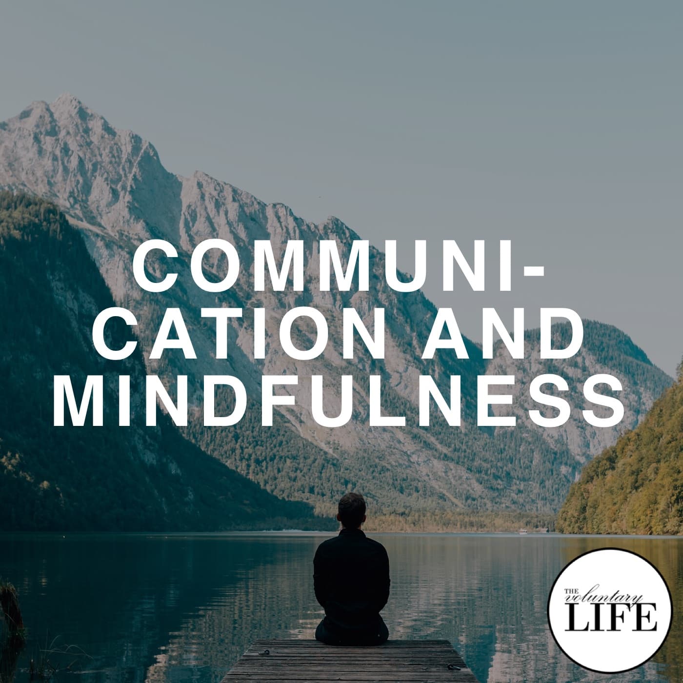 Bonus Episode 17: Communication And Mindfulness - The Voluntary Life cover