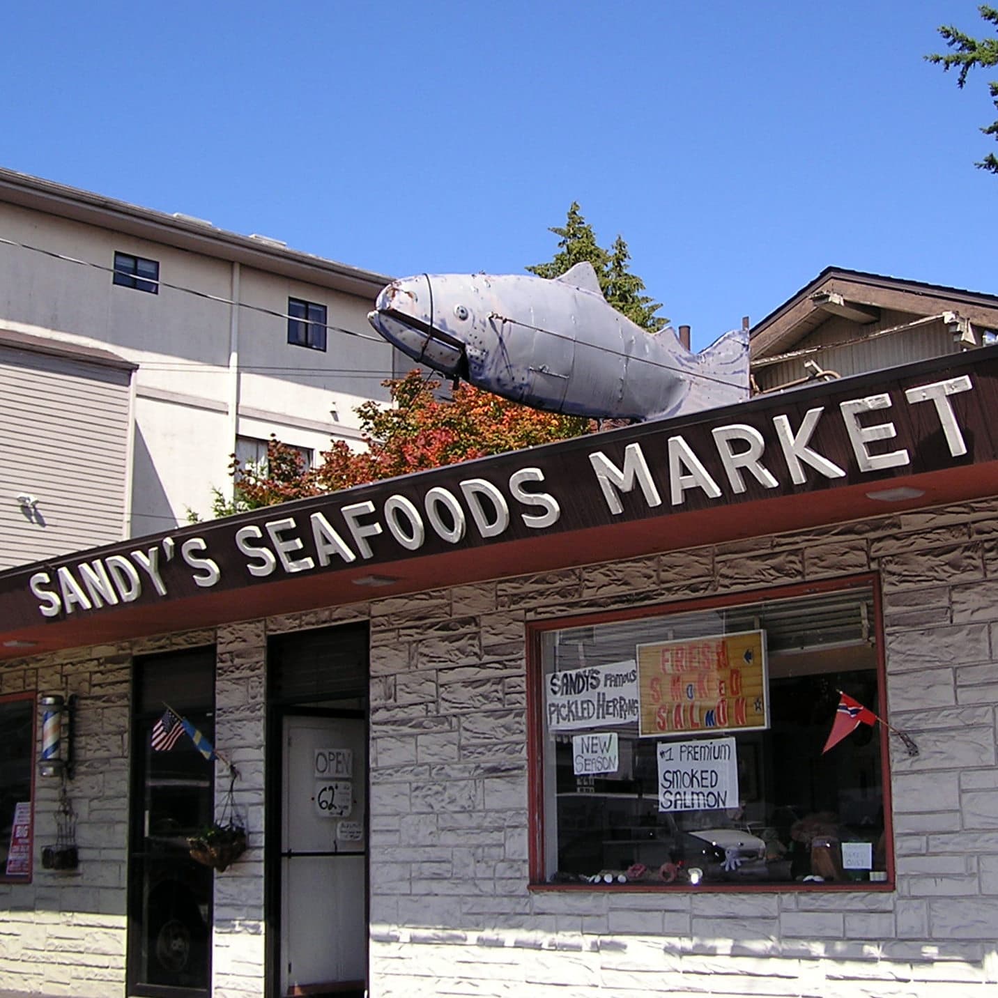 #4509 Getting Yammered - TBTL: Too Beautiful To Live cover