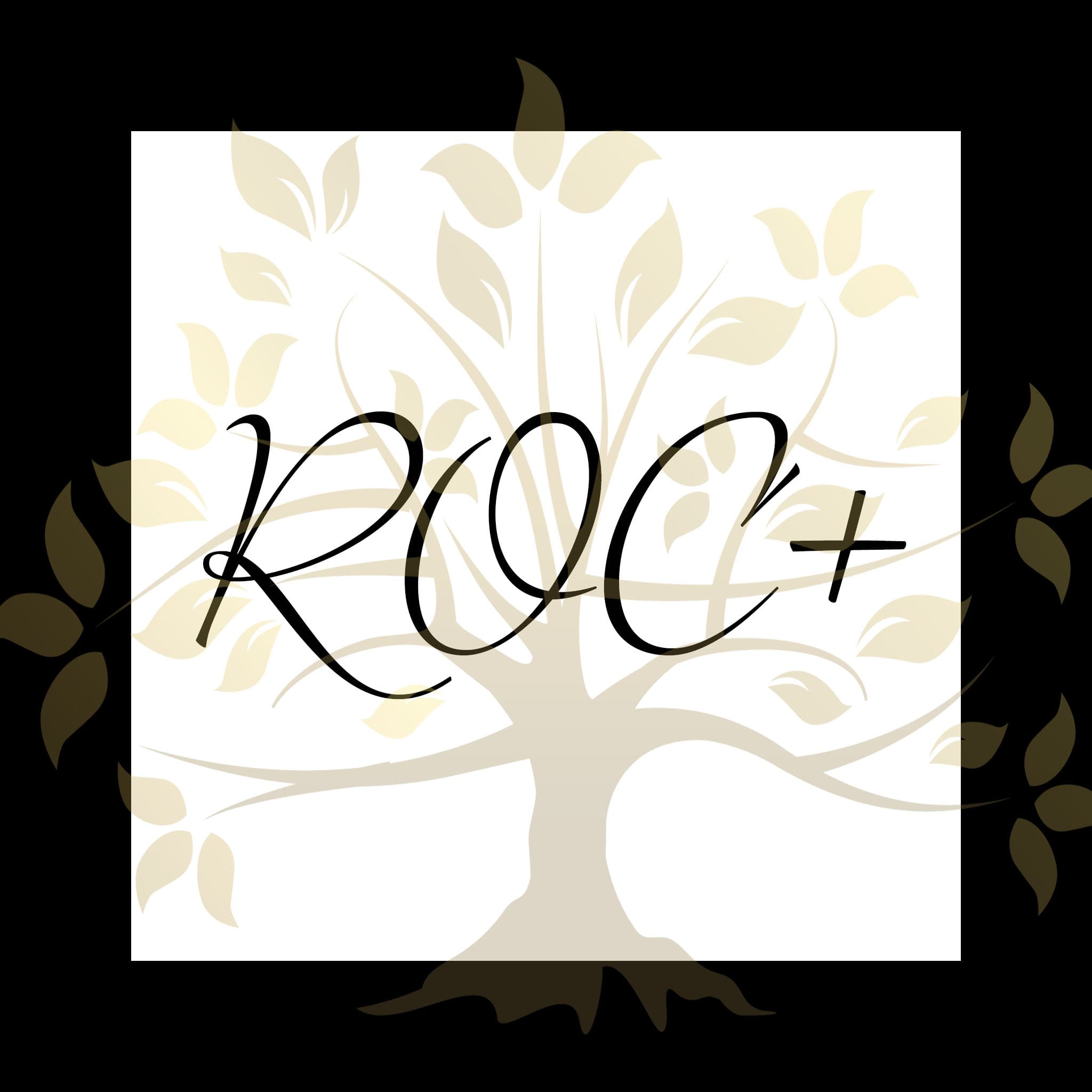 E003 ROC+ What Will You Do With It - ROC+ cover