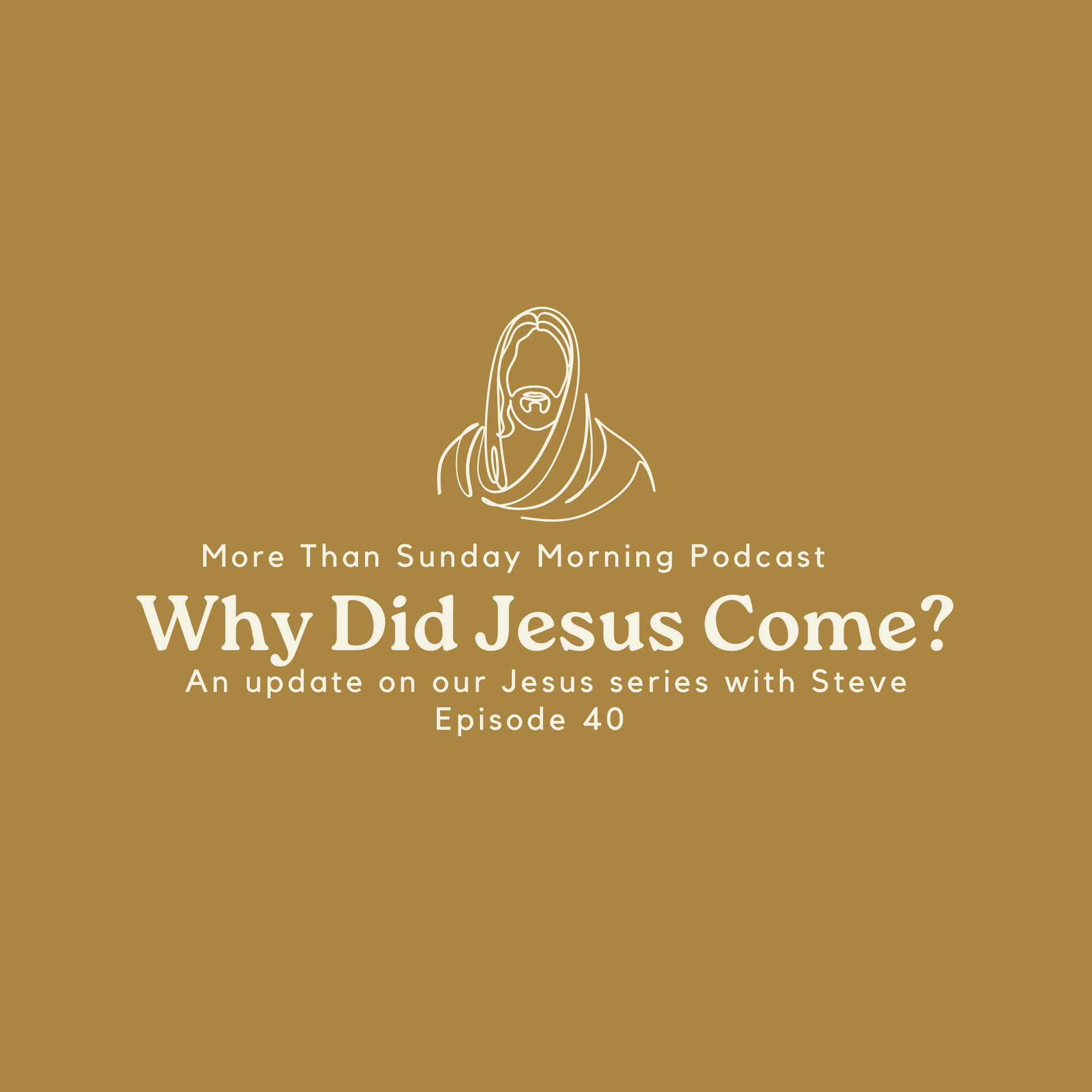 Episode 40: Why did Jesus come? | An update on our current Jesus series - More Than Sunday Morning cover