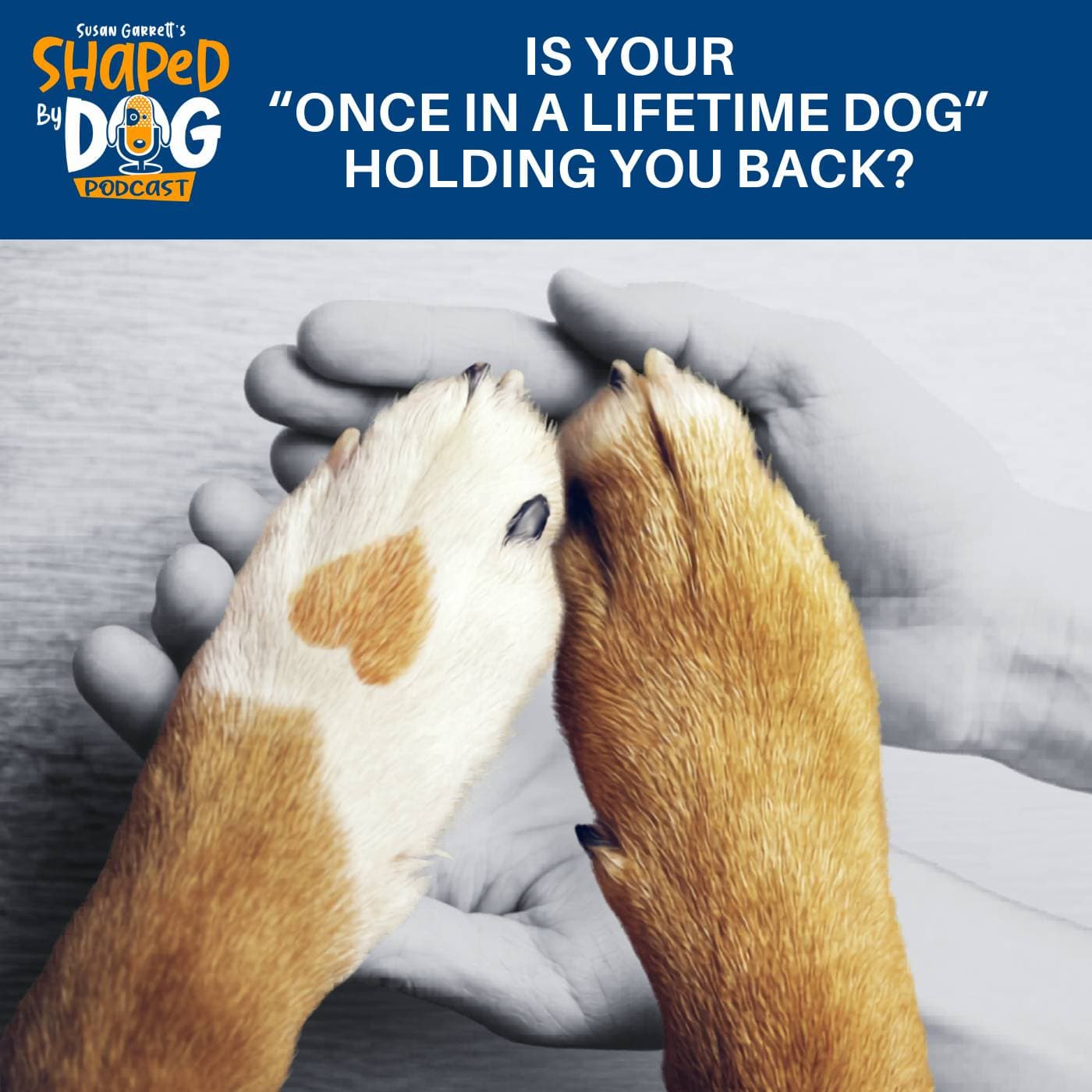 Is Your "Once In A Lifetime Dog" Holding You Back? #329 — Shaped by Dog with Susan Garrett cover