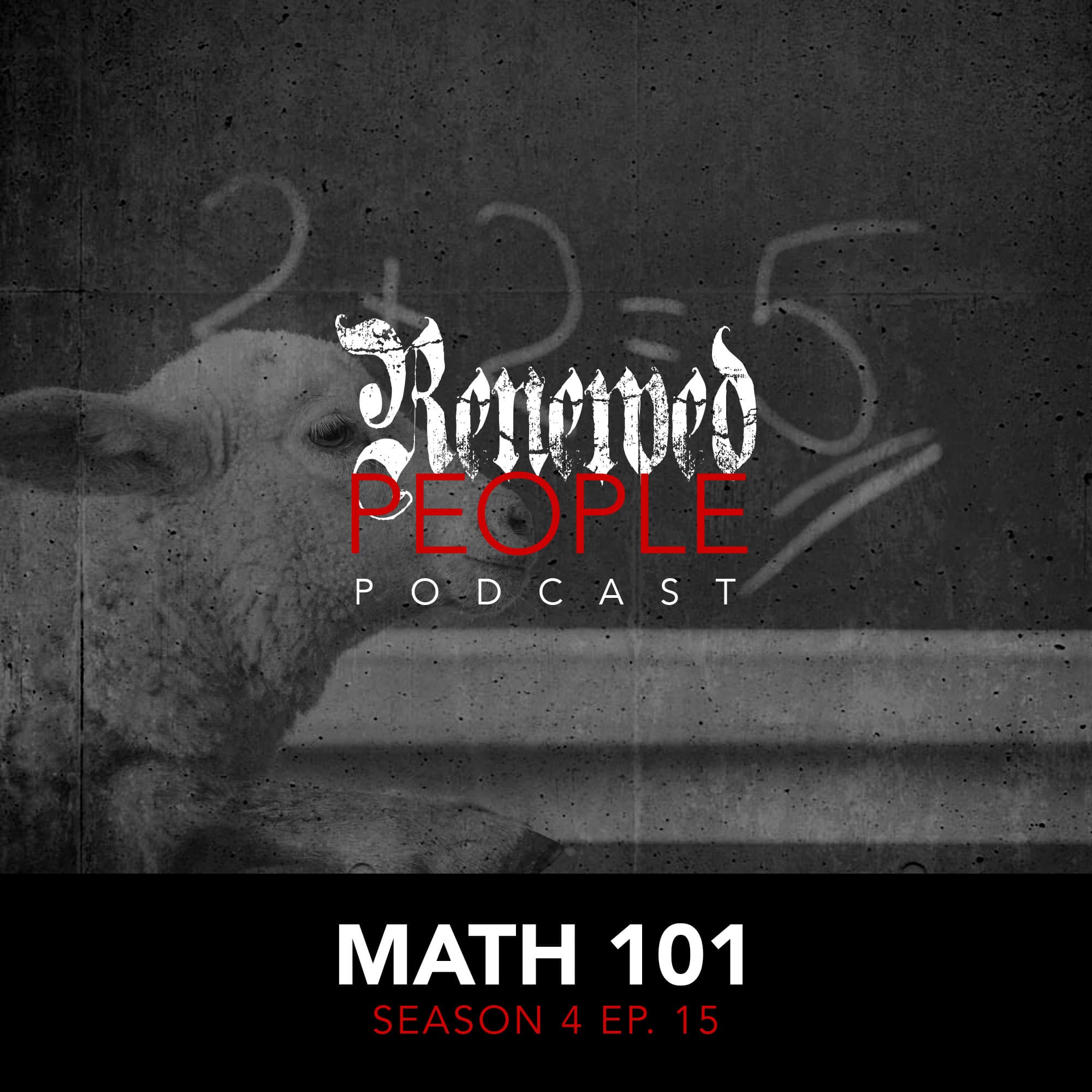 Math 101 - Renewed People cover