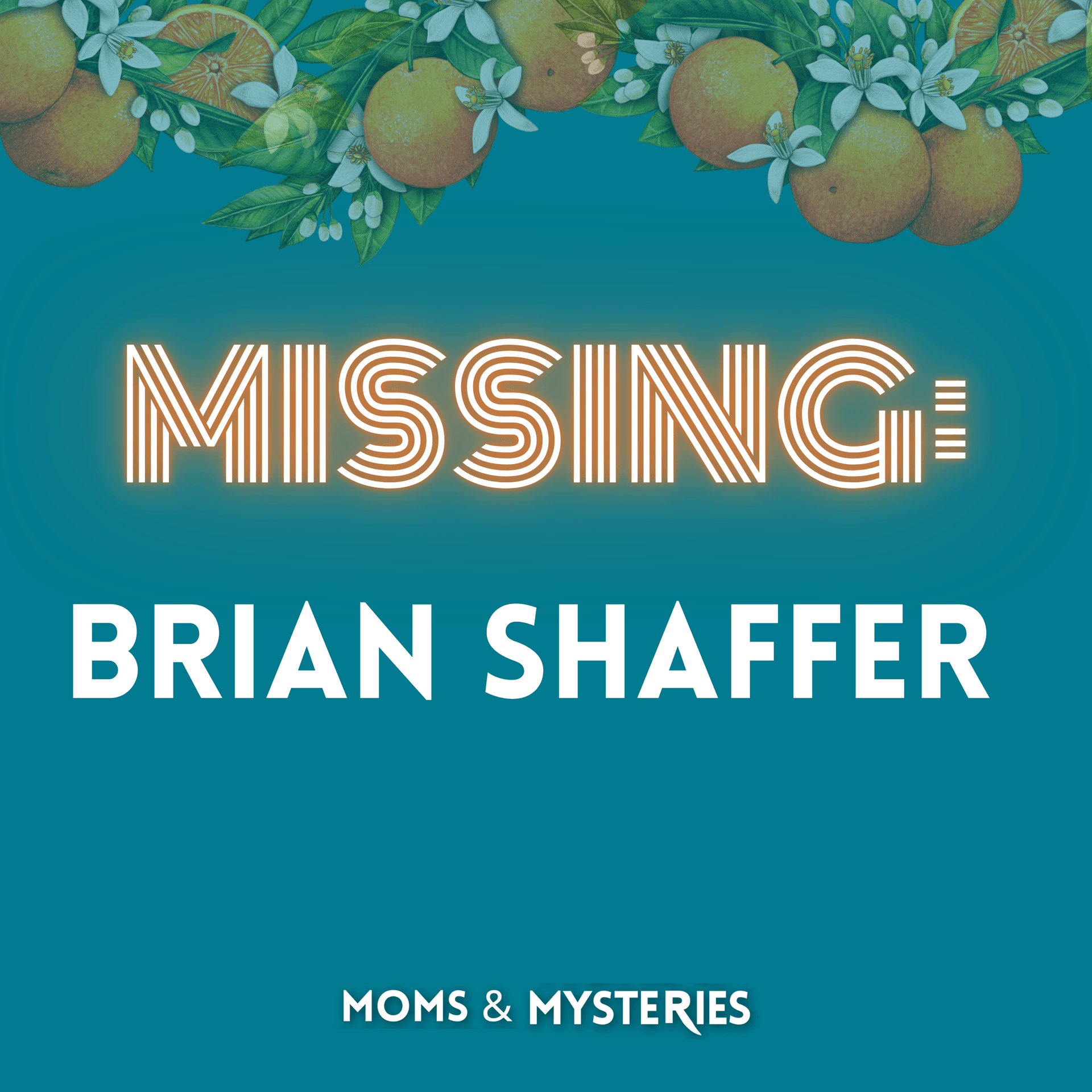MISSING: Brian Shaffer - Moms and Mysteries: A True Crime Podcast cover