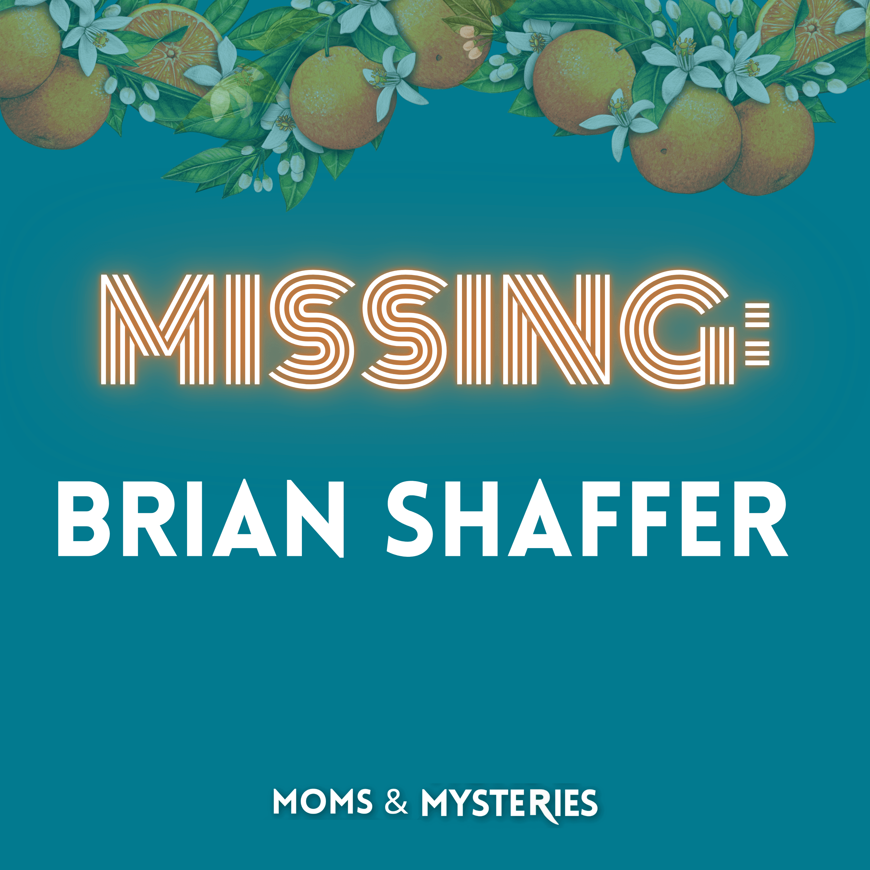 MISSING: Brian Shaffer - Moms and Mysteries: A True Crime Podcast cover