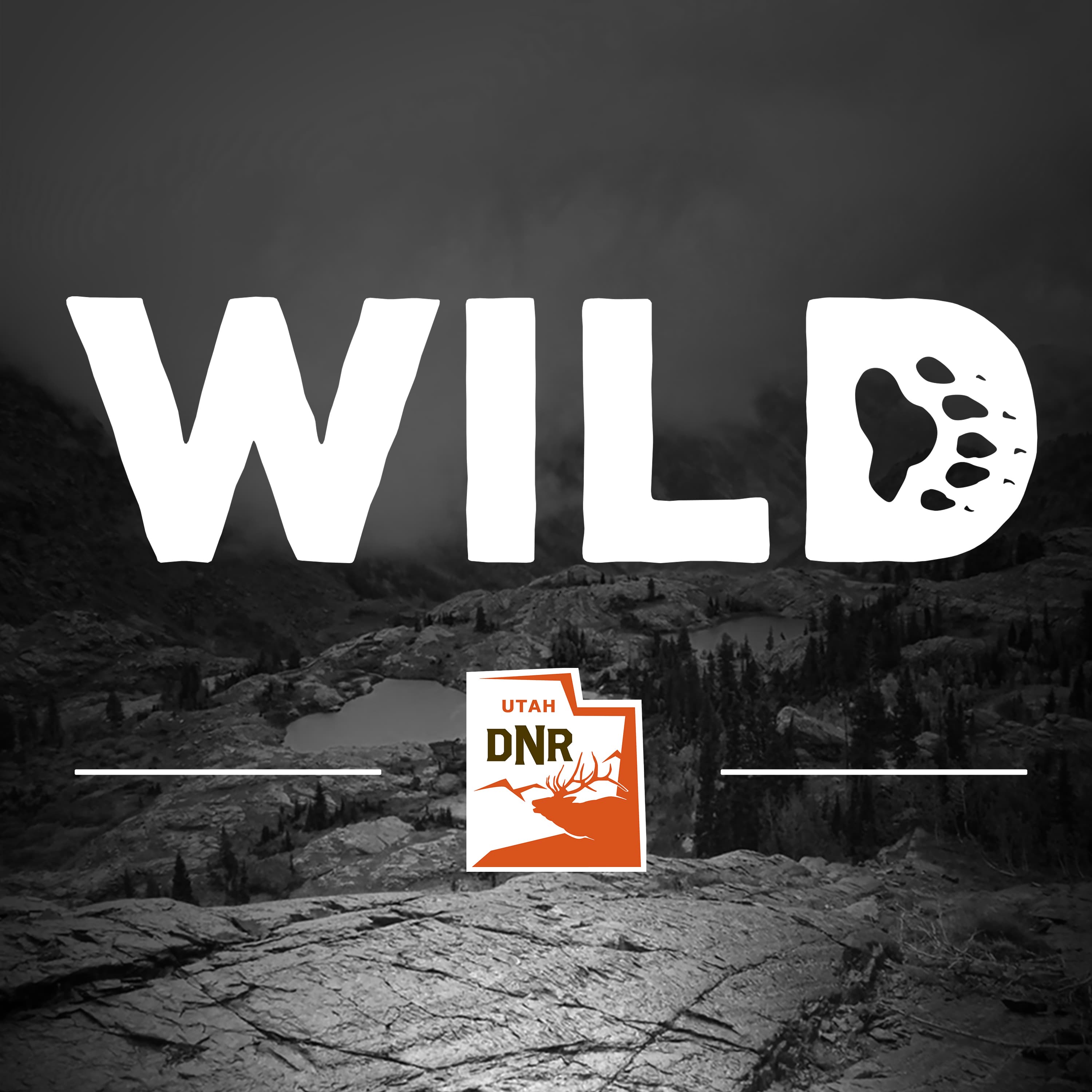 Wild cover