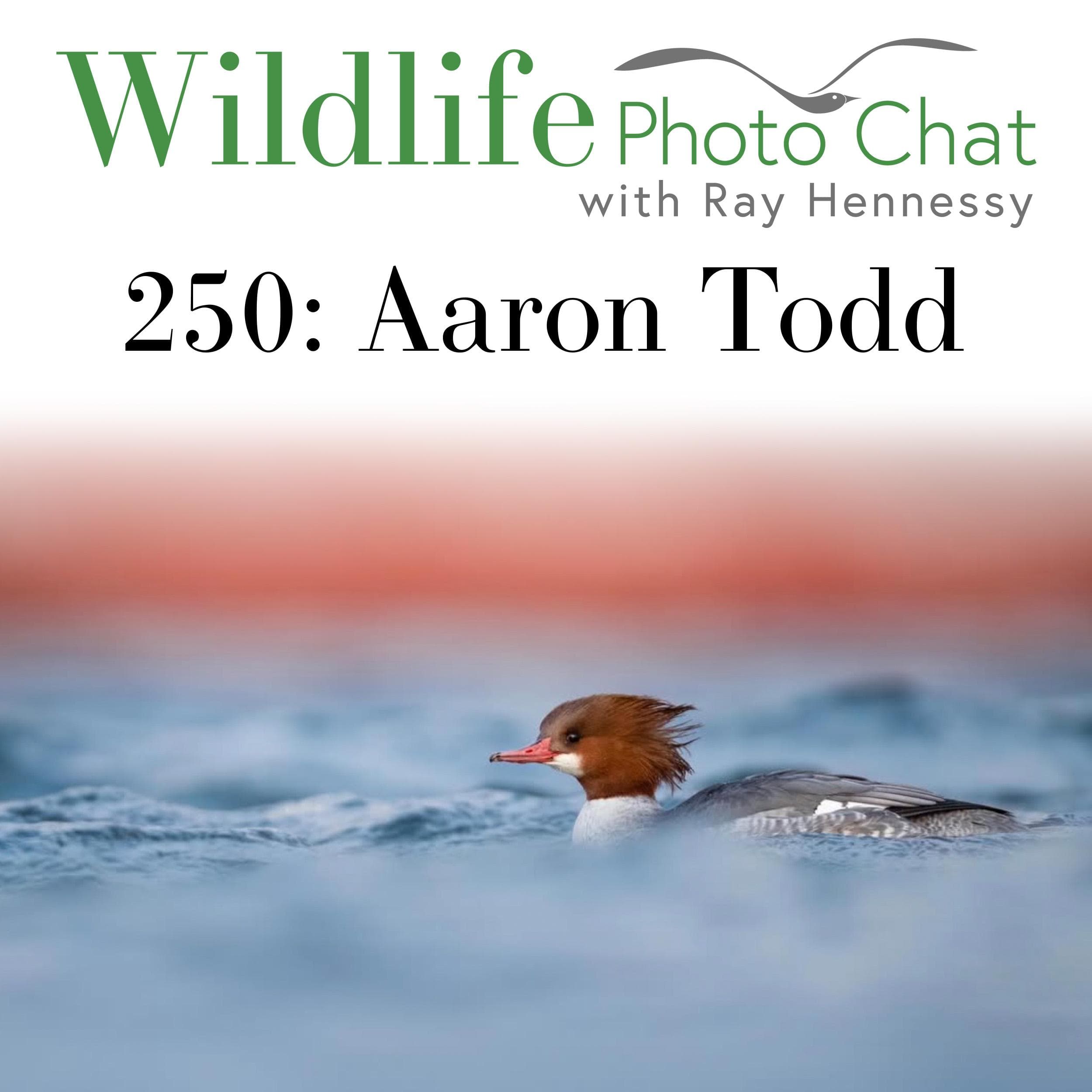 250: Aaron Todd - Wildlife Photo Chat cover