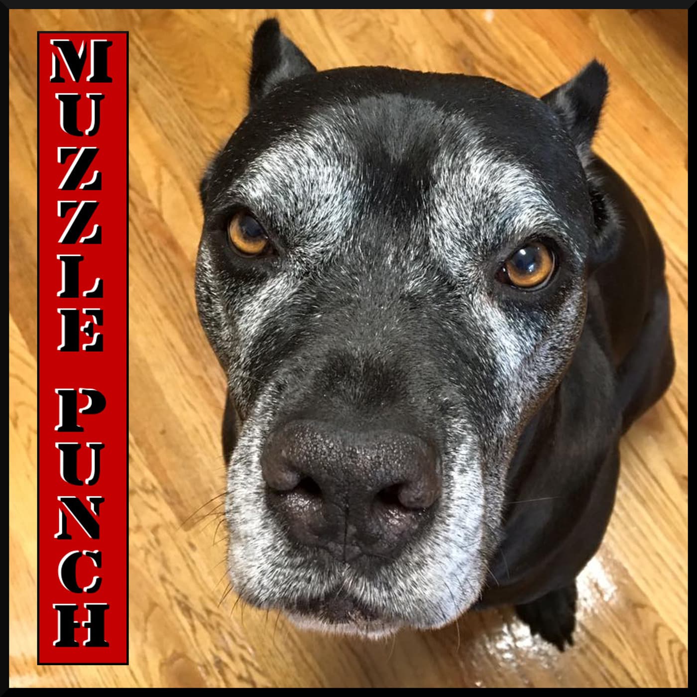 Muzzle Punch cover
