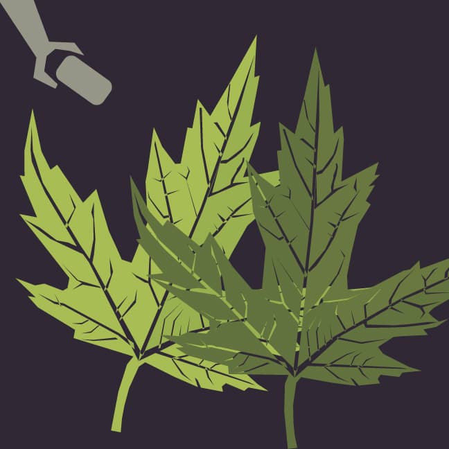 Born in the Anthropocene - The Adaptors cover