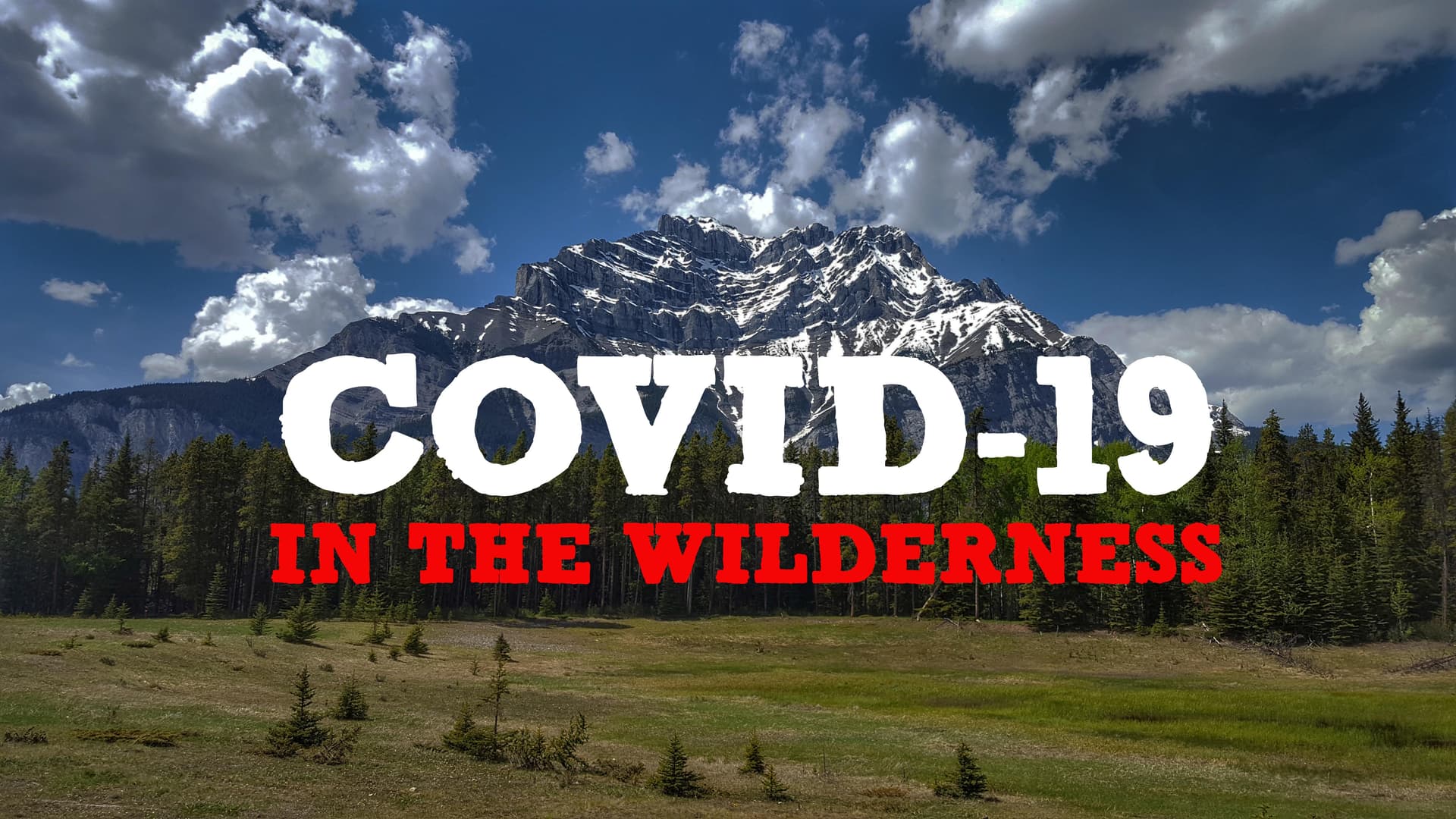 Episode 10: COVID-19 In The Wilderness — RAW Medicine cover