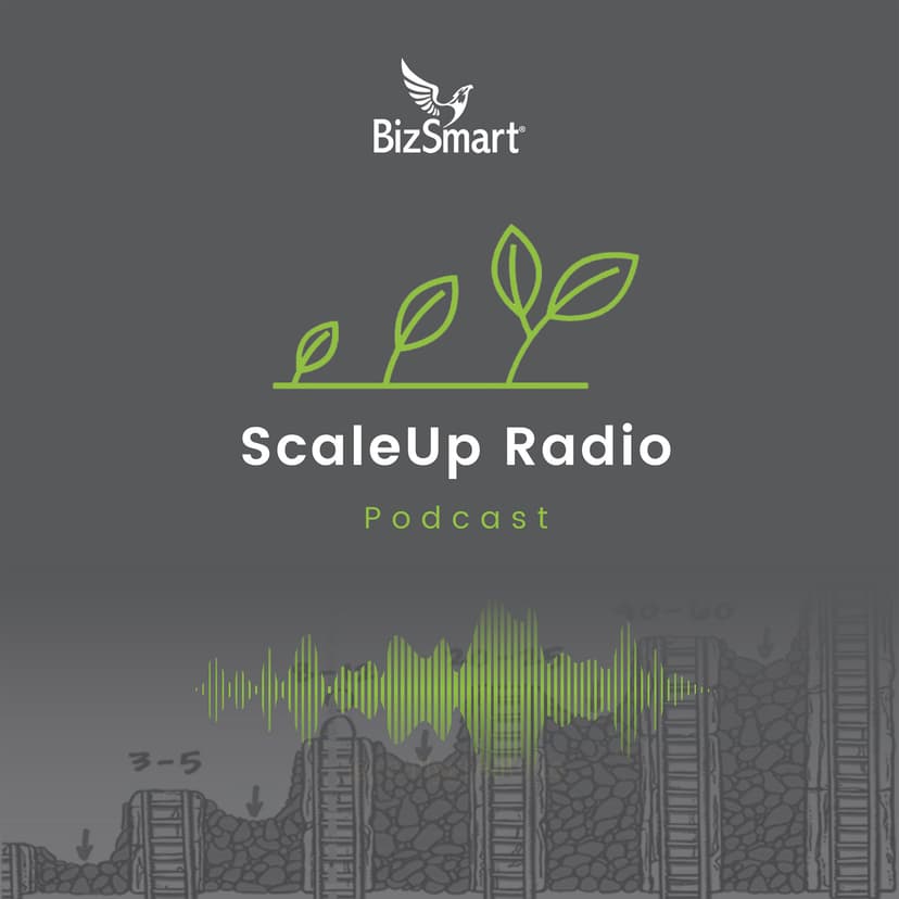 ScaleUp Radio cover