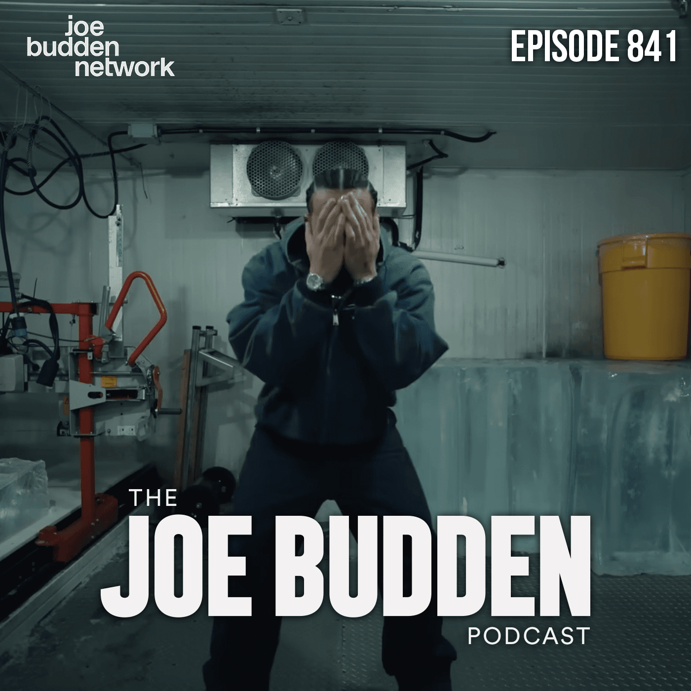 Episode 841 | “Don’t Look Away Now” - The Joe Budden Podcast cover