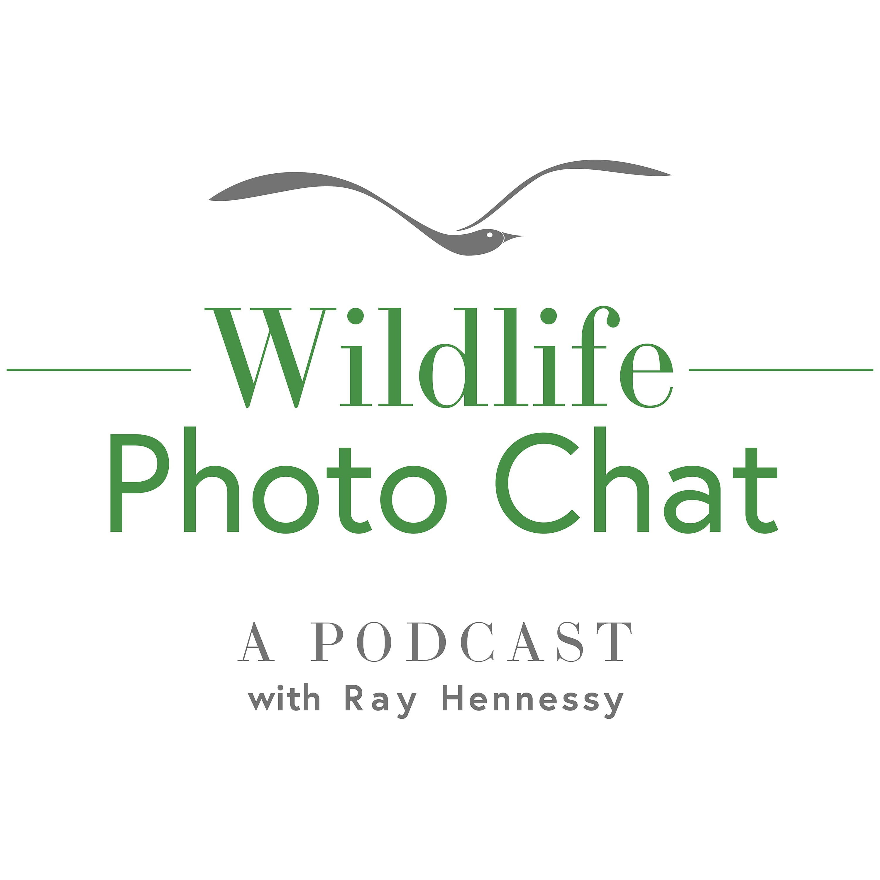 Wildlife Photo Chat cover