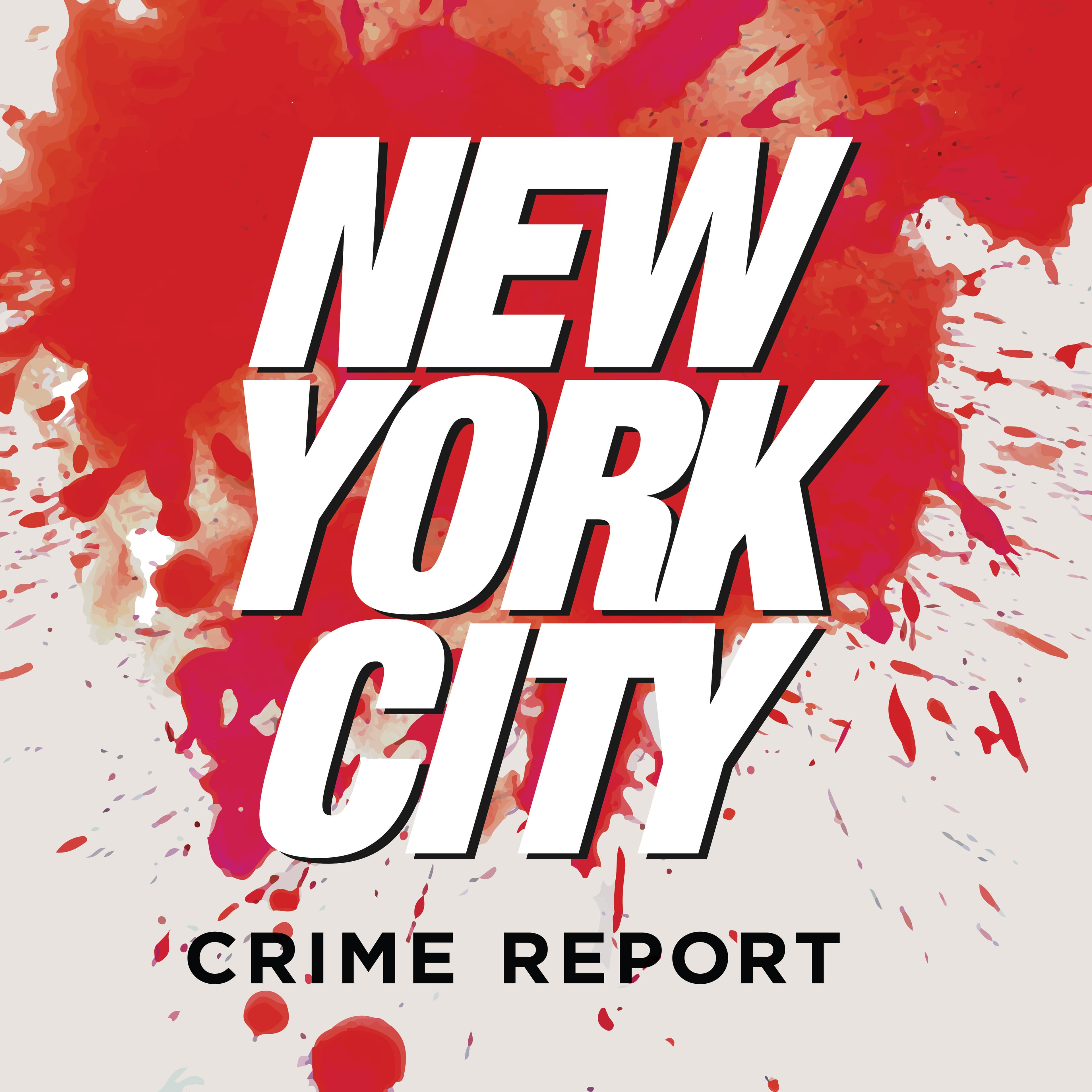 The New York City Crime Report with Pat Dixon cover