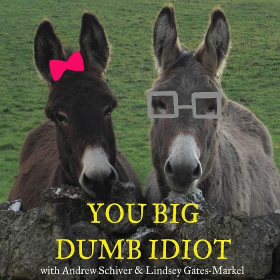 043: Running a Record Label/Twinkie the Cowboy - You Big Dumb Idiot cover