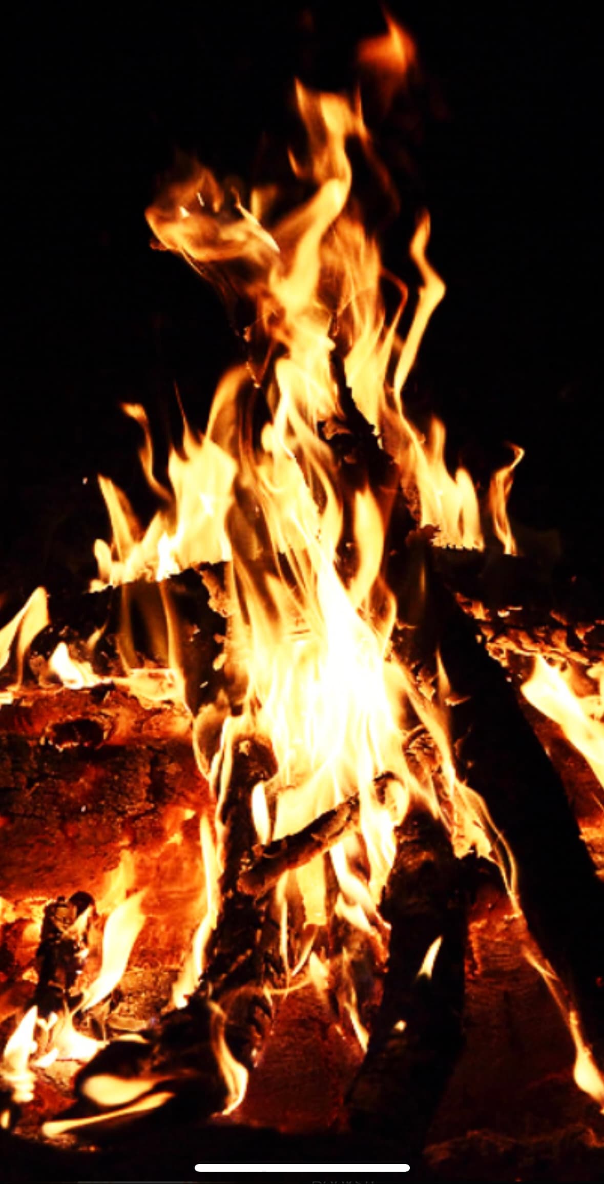 FIRED - True scary stories with Edi cover