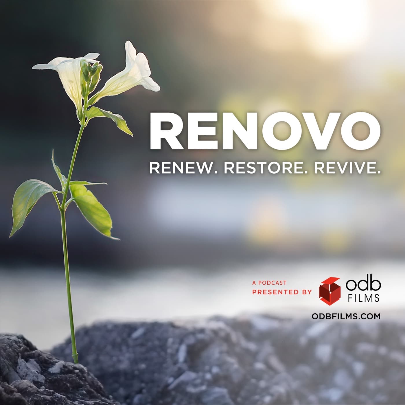 Renovo Podcast cover
