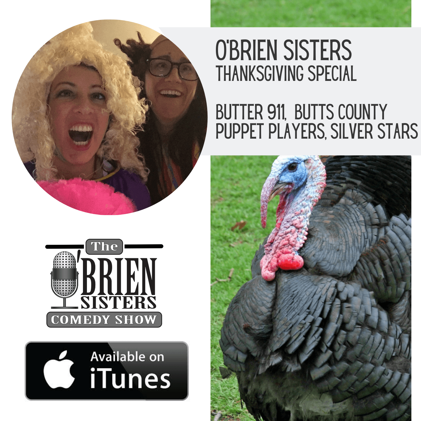 O'Brien Sisters: Thanksgiving Special - O'Brien Sisters Podcast cover