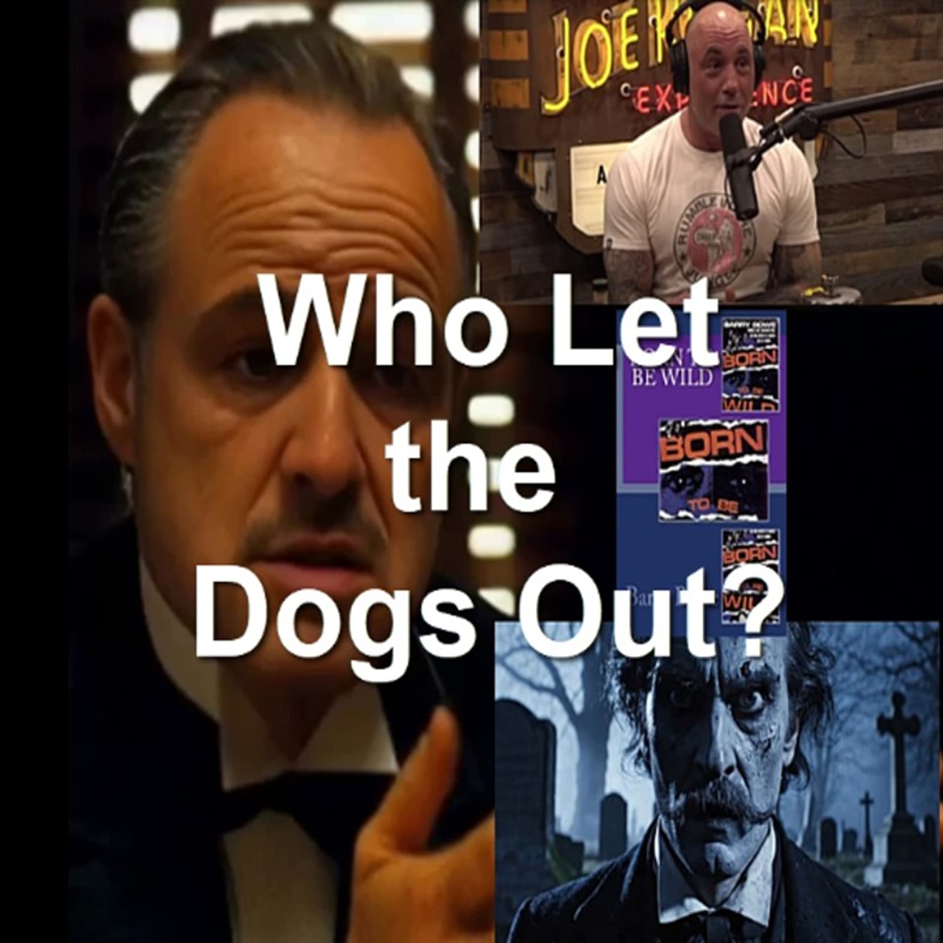 Who Let the Dogs Out? - Barry Bowe cover