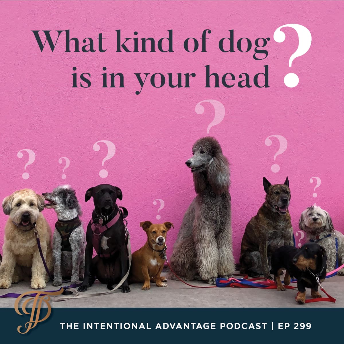 How To Stop Worrying - The Intentional Advantage cover