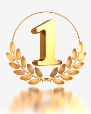 Pick One Tip For Driving Traffic To Your Brand New Blog - Ms. Ileane Speaks | Your Digital Media Tour Guide cover