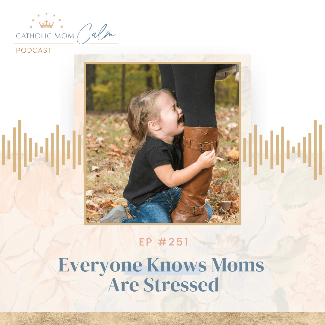 Everyone Knows Moms Are Stressed - Catholic Mom Calm cover