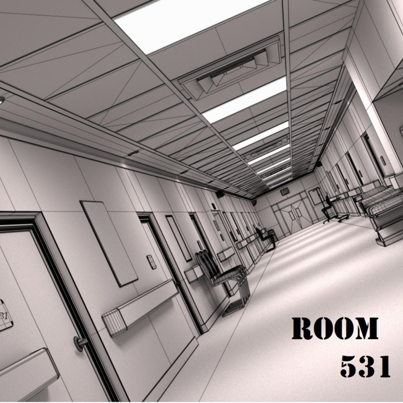 Pilot Episode First submission and interview - Room 531 Experience cover