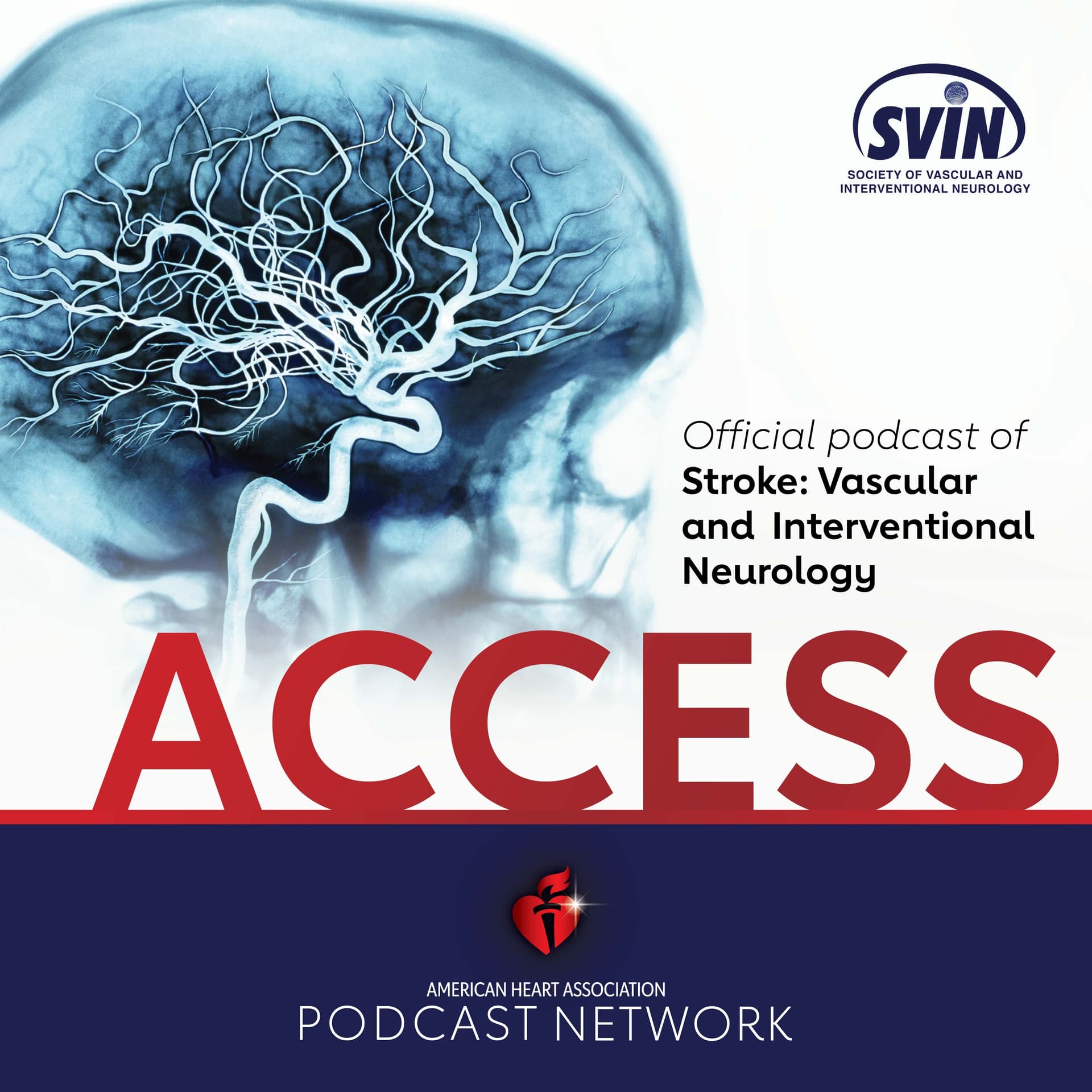ACCESS S:VIN July 2024 - ACCESS cover