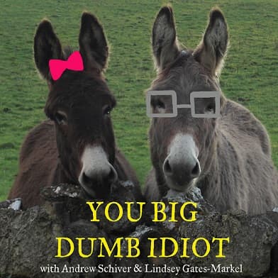 You Big Dumb Idiot cover