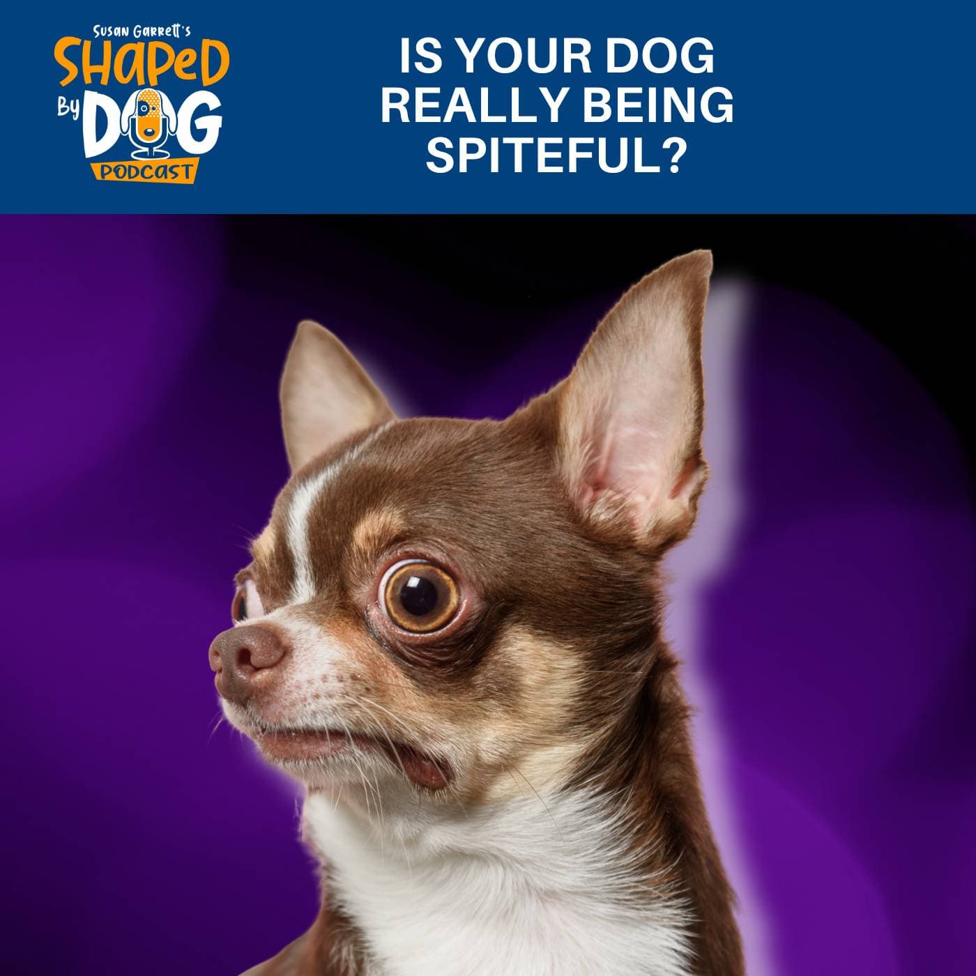 Is Your Dog Really Being Spiteful? #321 - Shaped by Dog with Susan Garrett cover