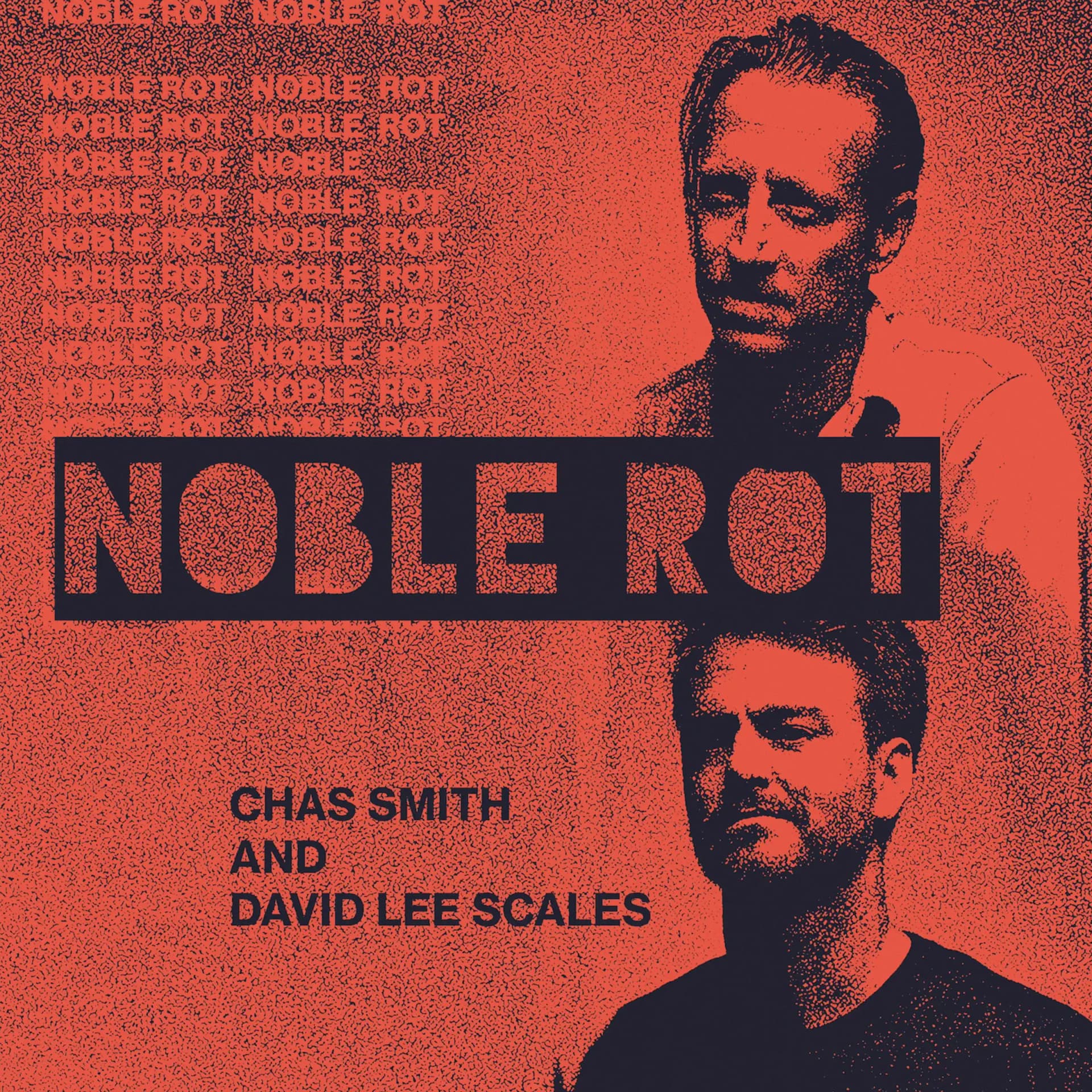 Noble Rot cover