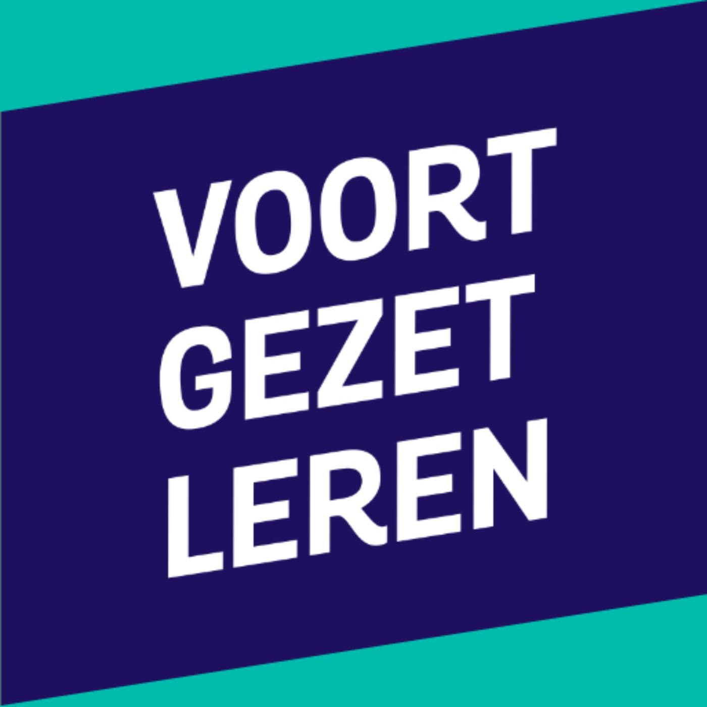 Schoolinfo Podcast Formatief Werken - Project Leerling 2020 - VO-raad cover