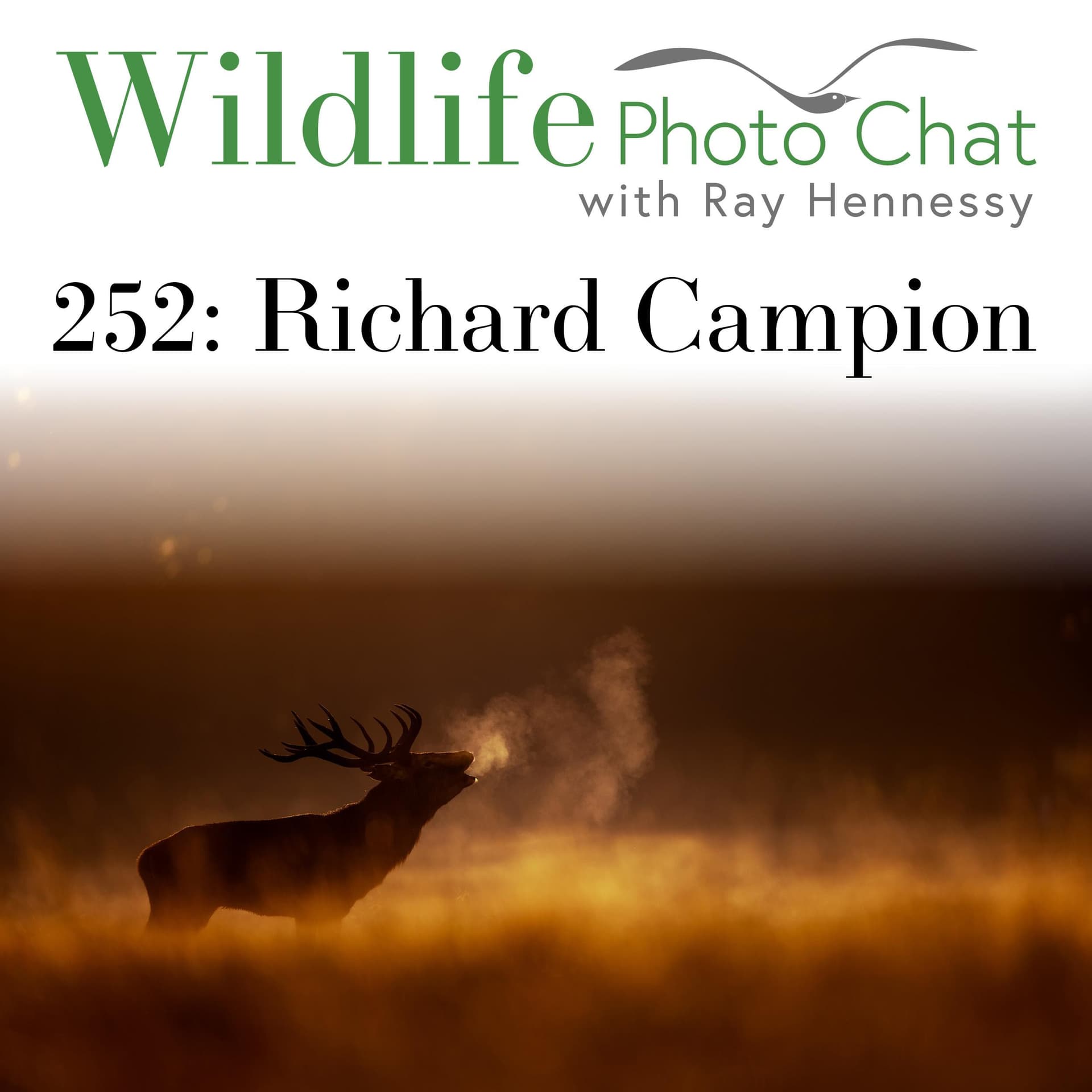 252: Richard Campion - Wildlife Photo Chat cover