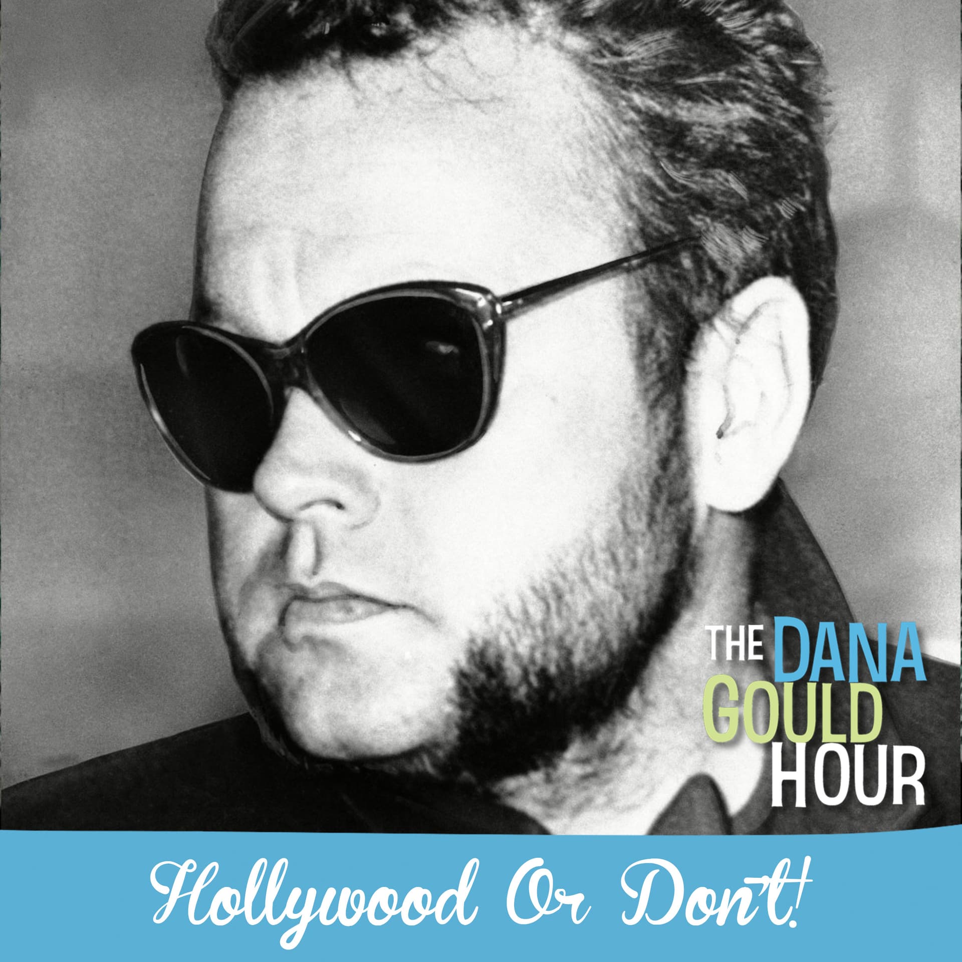 Hollywood Or Don't! - The Dana Gould Hour cover
