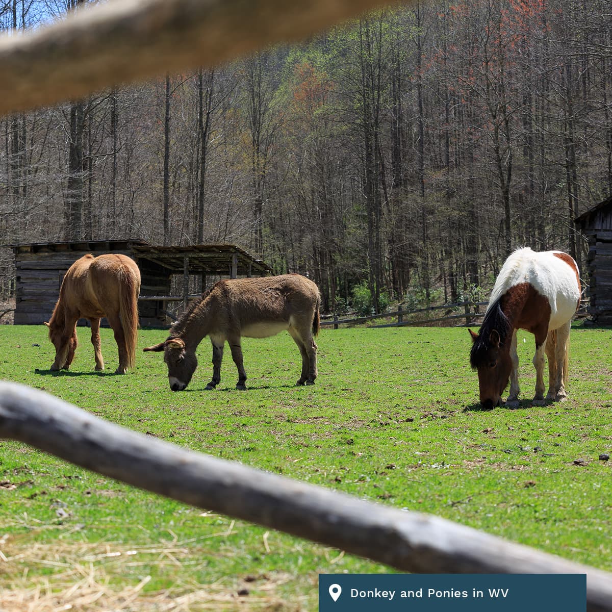 daily304 – Episode 05.20.2026 — daily304's podcast cover