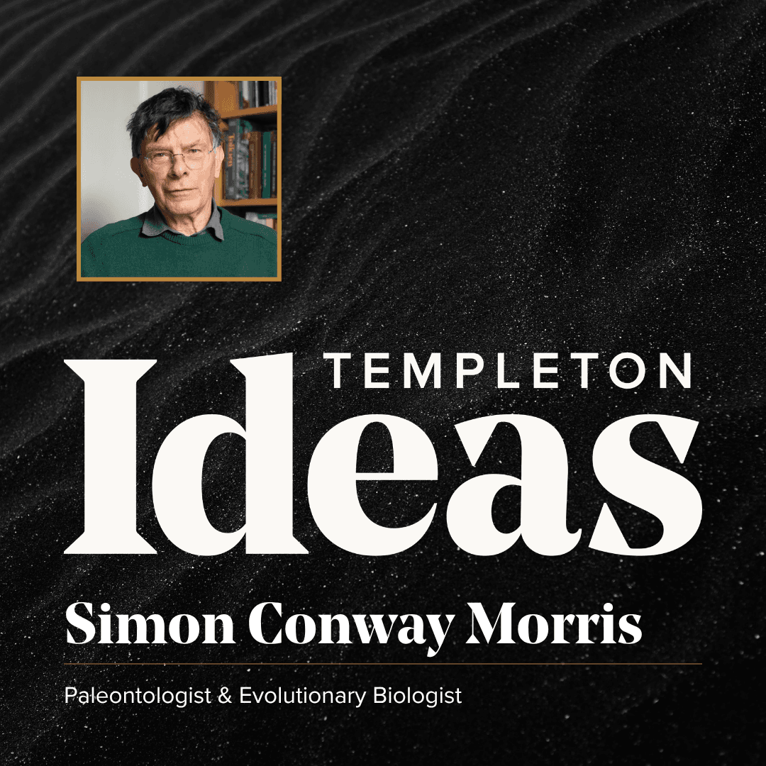 Simon Conway Morris (Convergent Intelligence) - Templeton Ideas Podcast cover