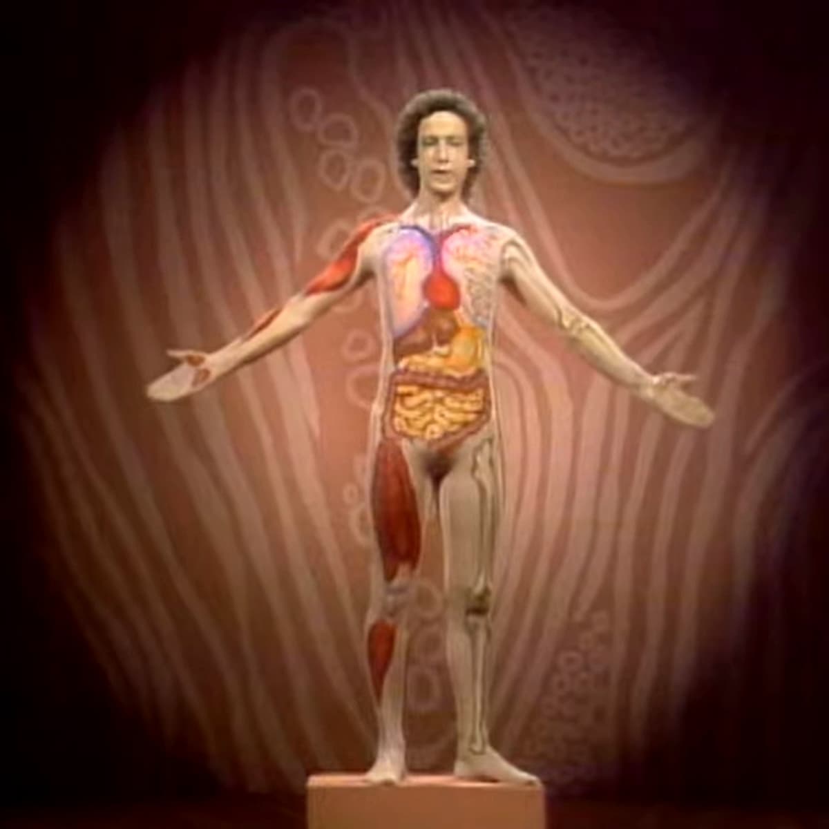 #4596 Hotel Clevafornia - TBTL: Too Beautiful To Live cover