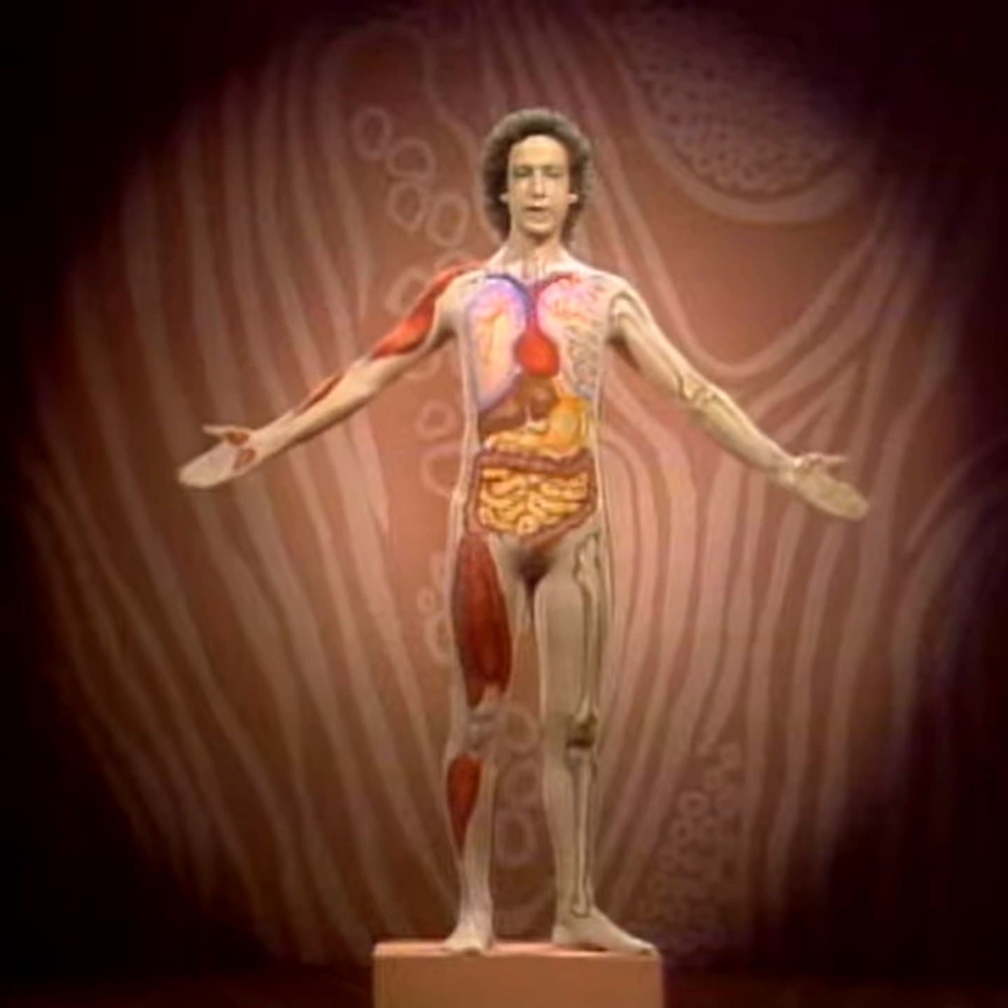 #4596 Hotel Clevafornia - TBTL: Too Beautiful To Live cover