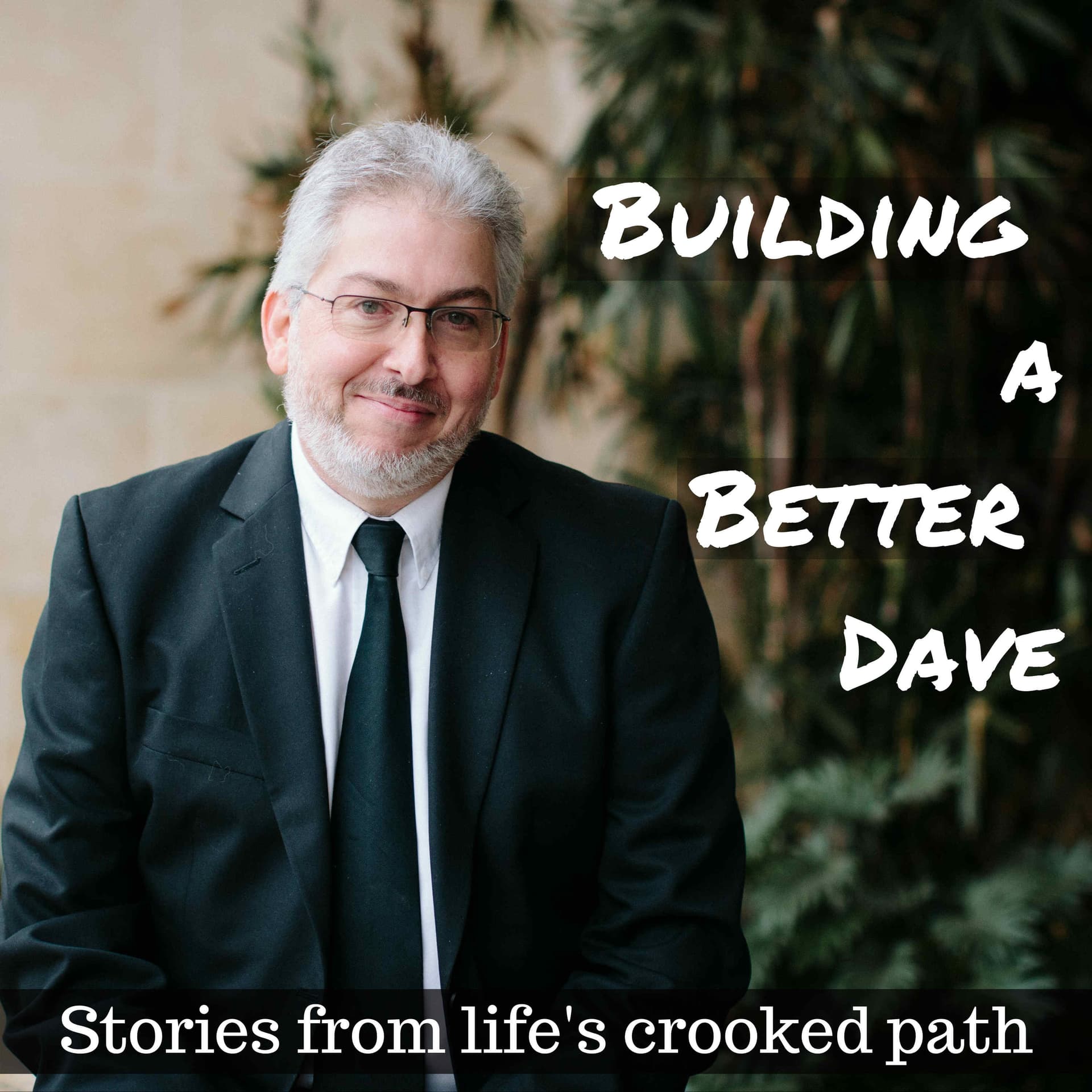 Building a Better Dave cover