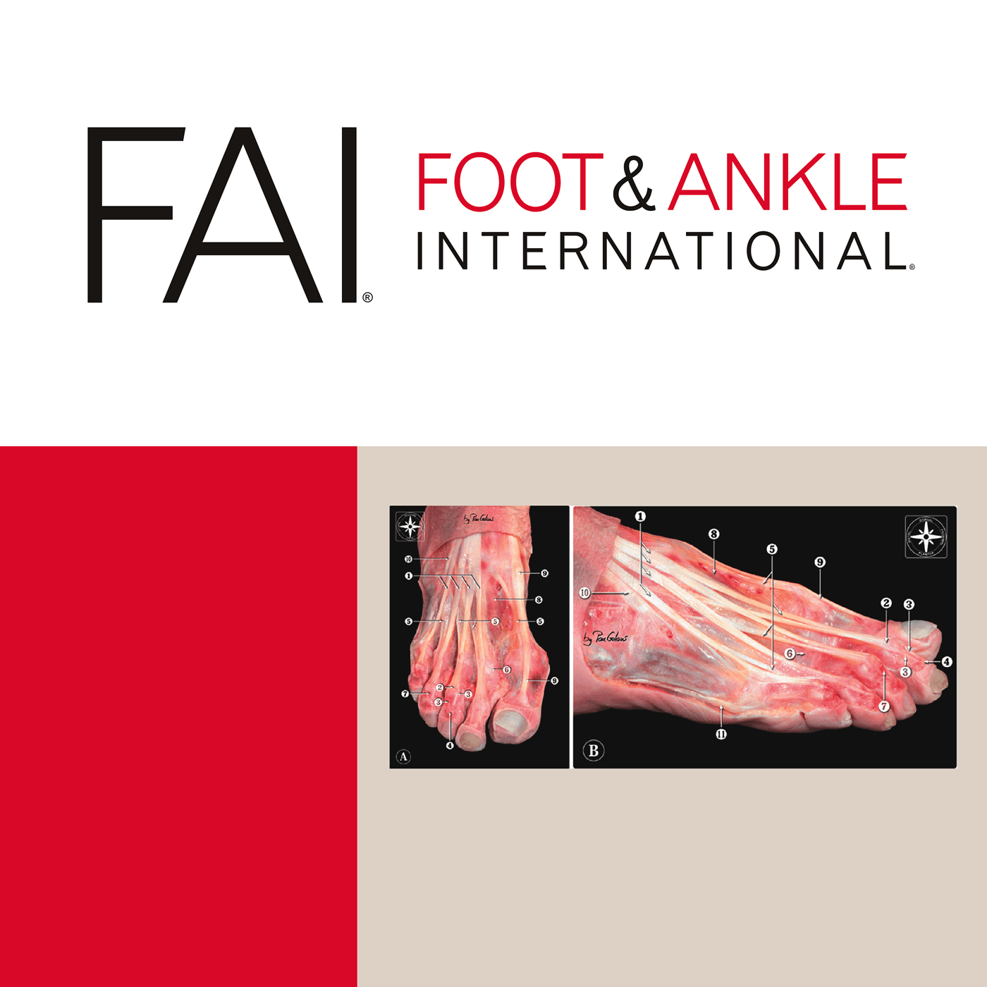 Foot & Ankle International cover